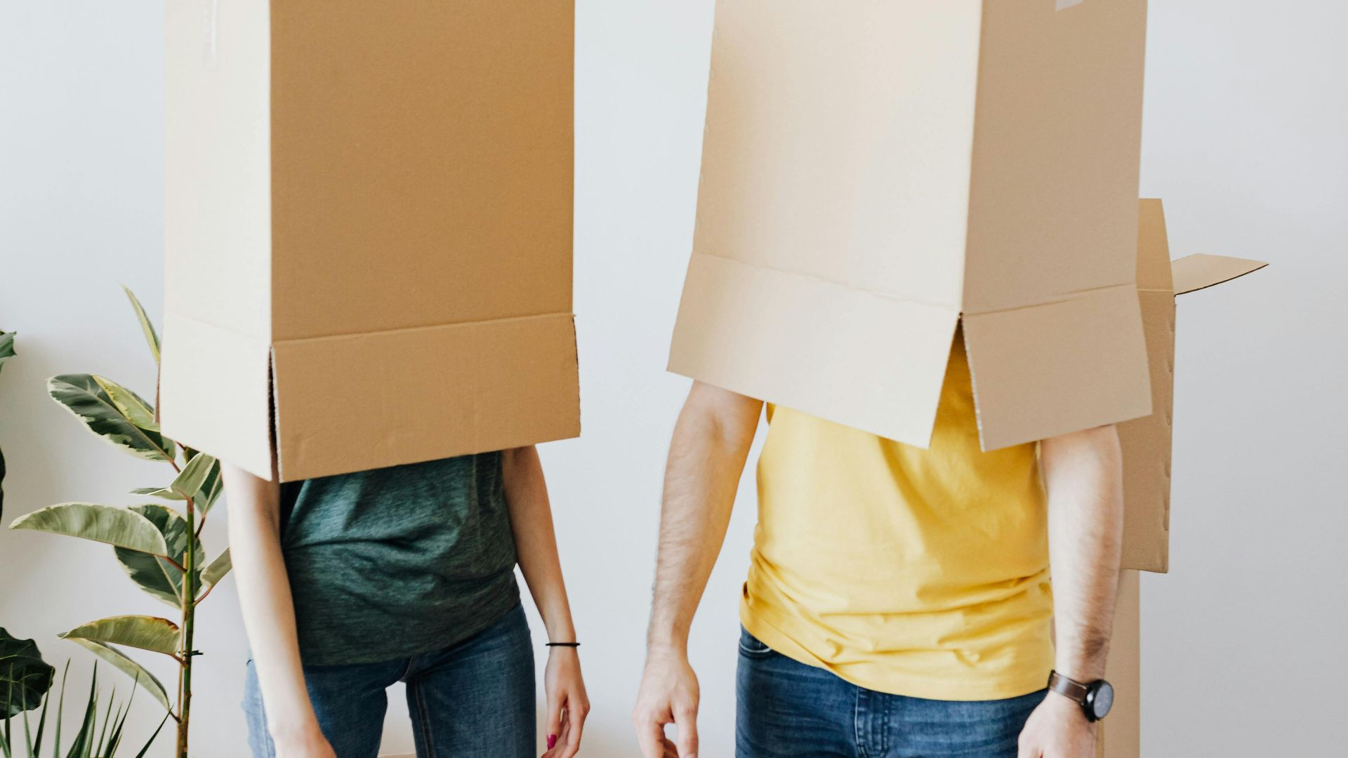 Photo By: Kaboompics.com