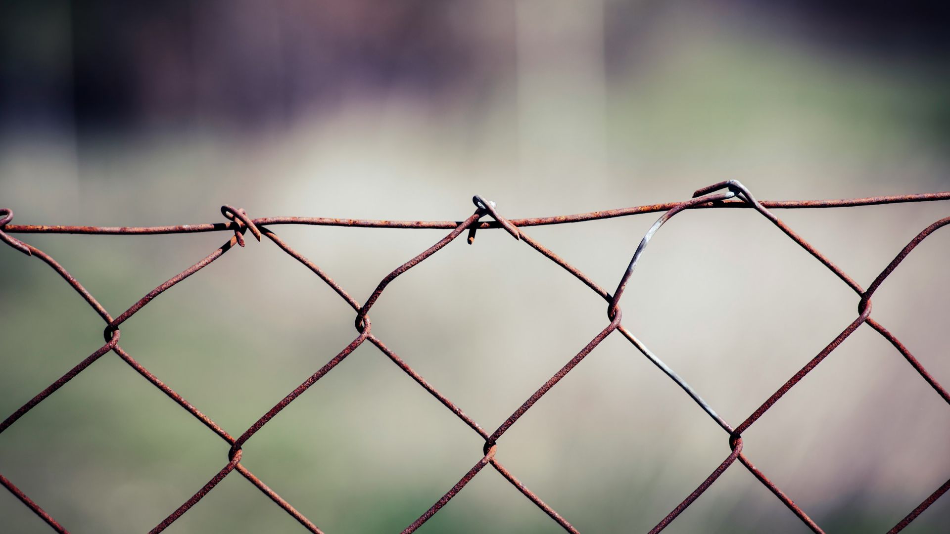 gray metal fence with barbwire