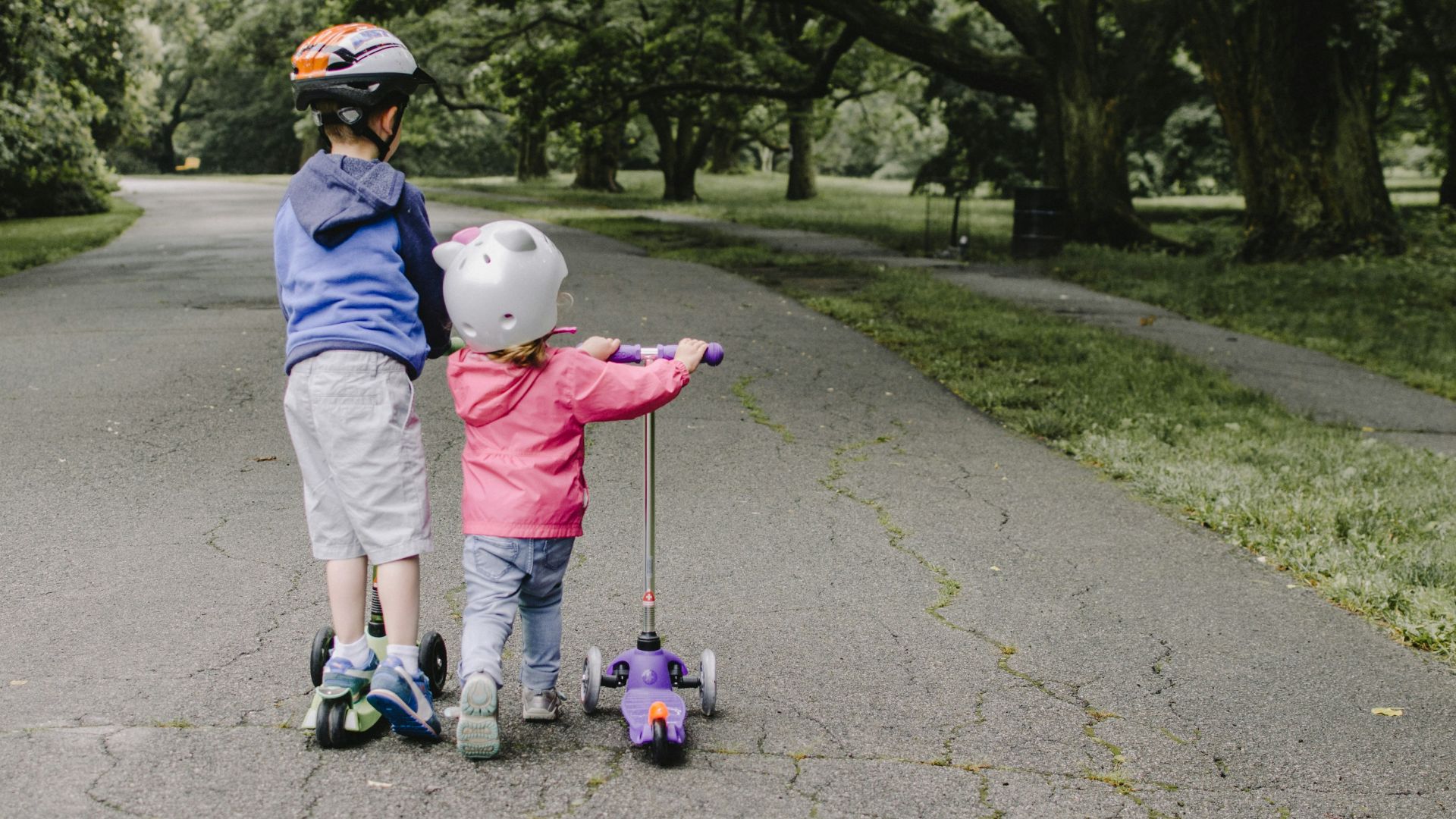 two toddler's walking on road near green tree