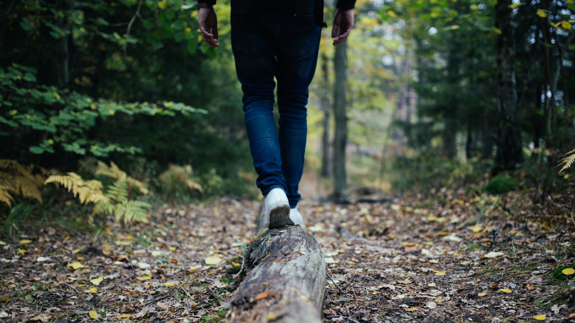man walking on forest