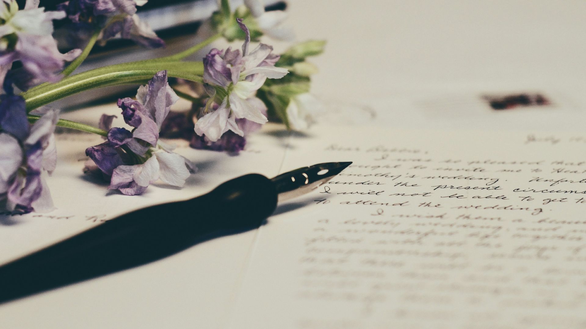 purple flowers on paper