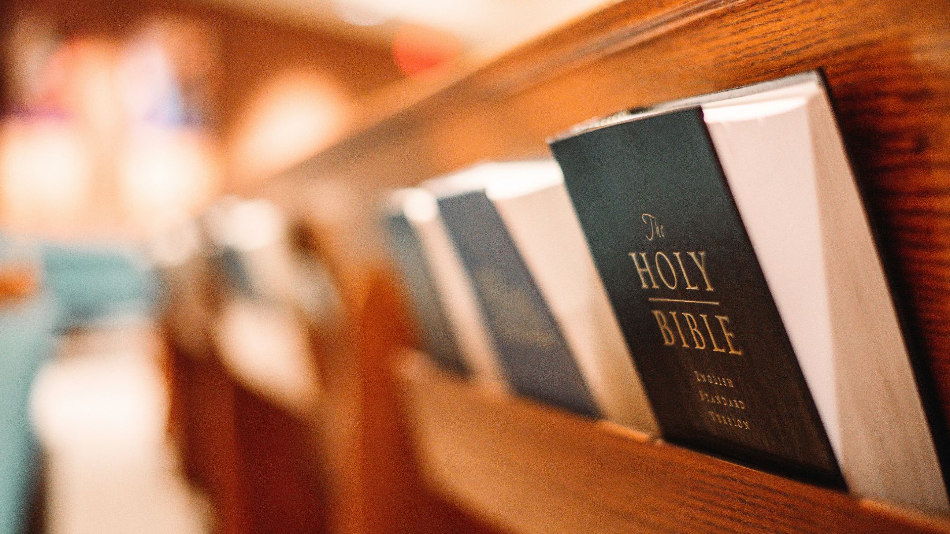 black and white book on brown wooden shelf