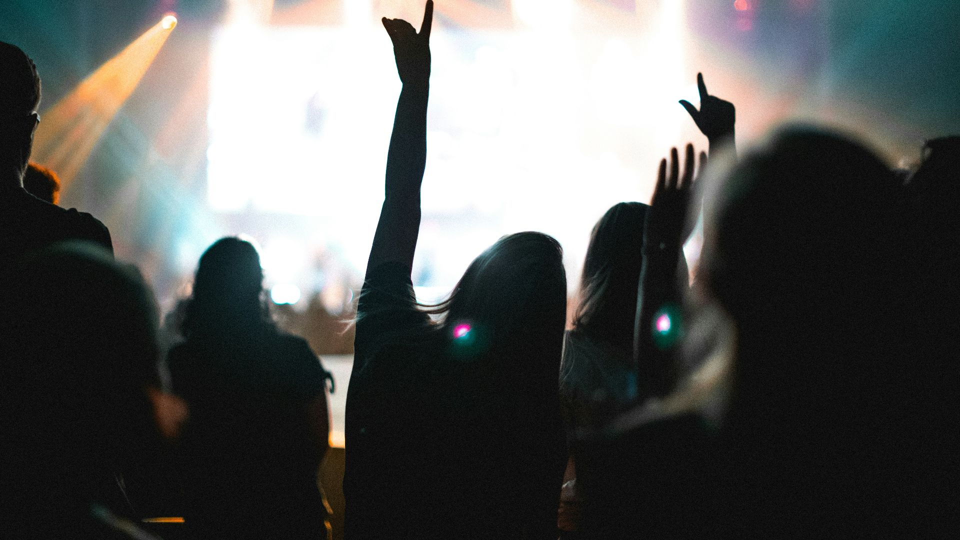 group of people standing in front of concert