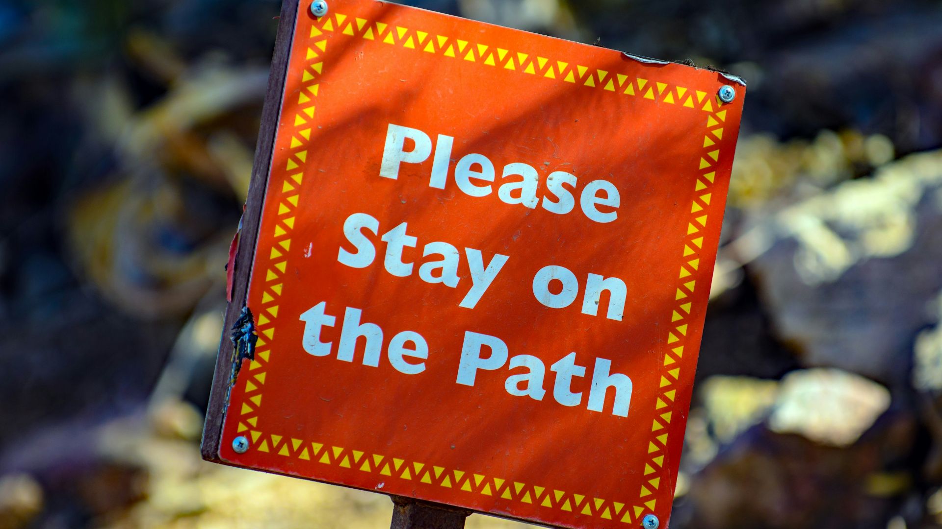 please stay on the path signage
