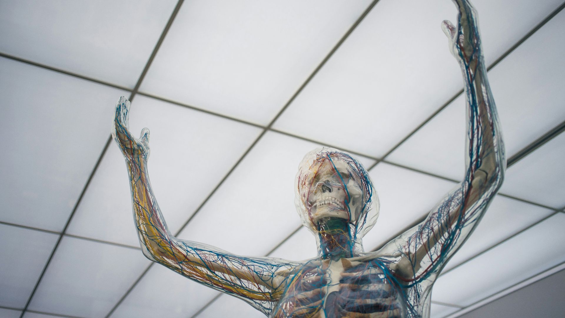 human body sculpture