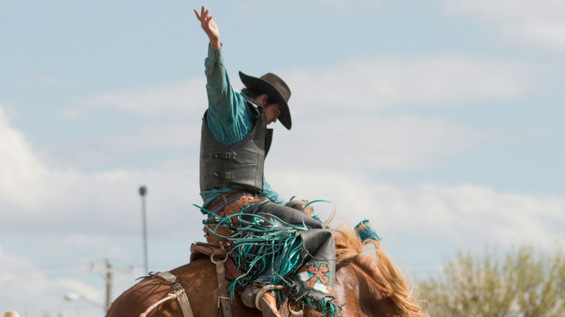 man riding brown horse during daytime