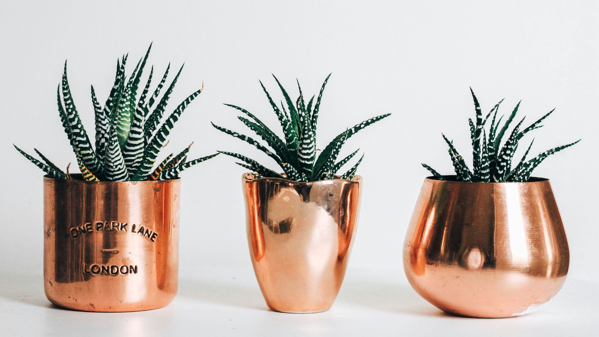 three gold pots with plants beside wall