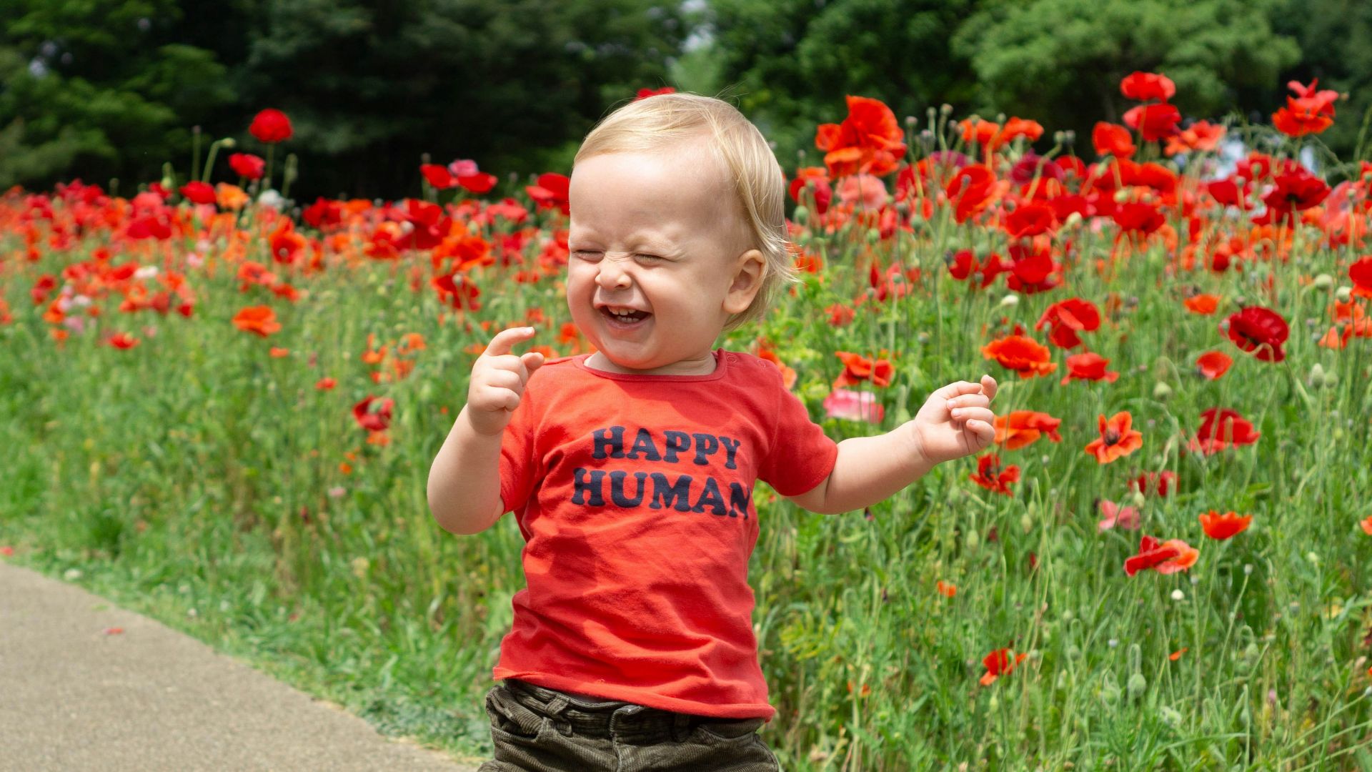 toddler laughing while standing near red petaled flowers