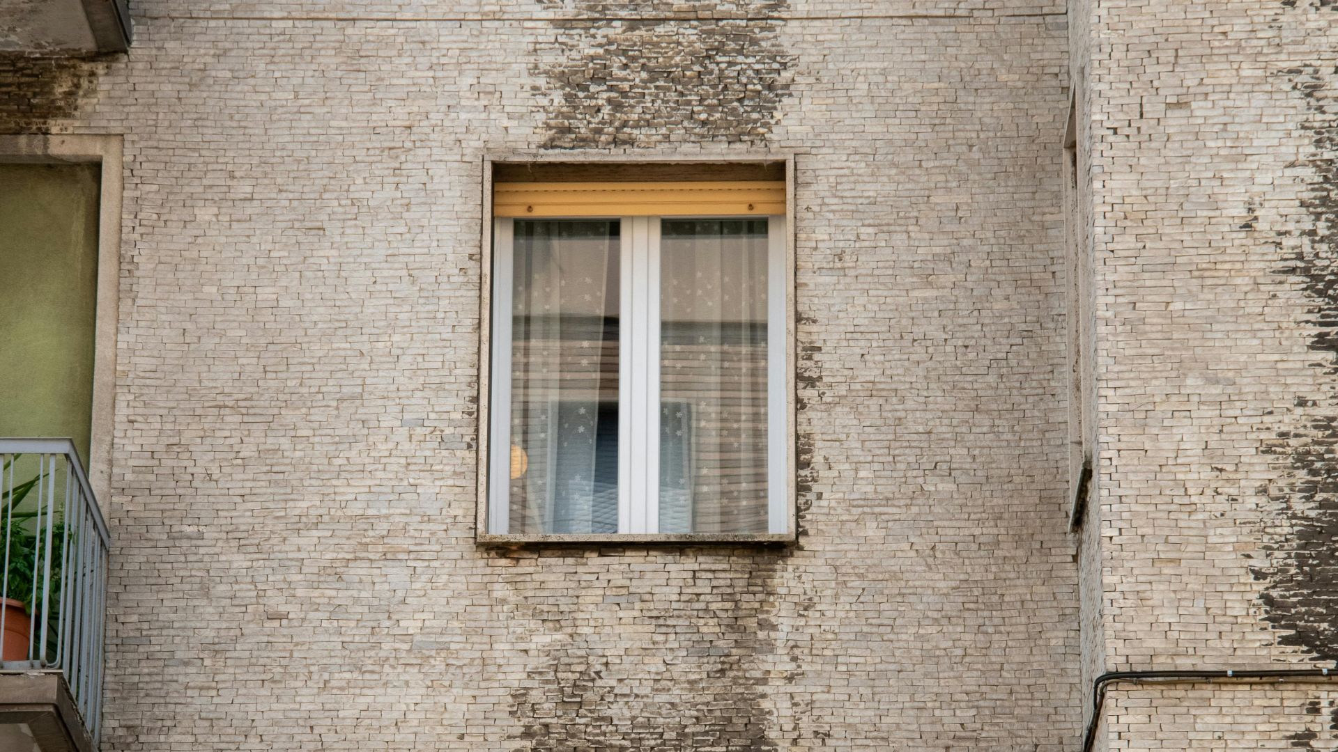 Andrew Patrick Photo