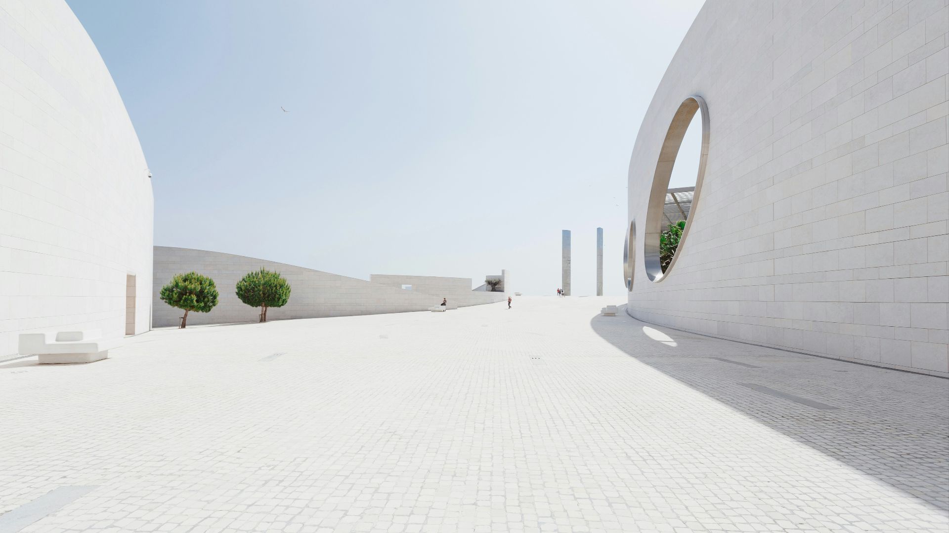 several green bonsai trees during daytime
