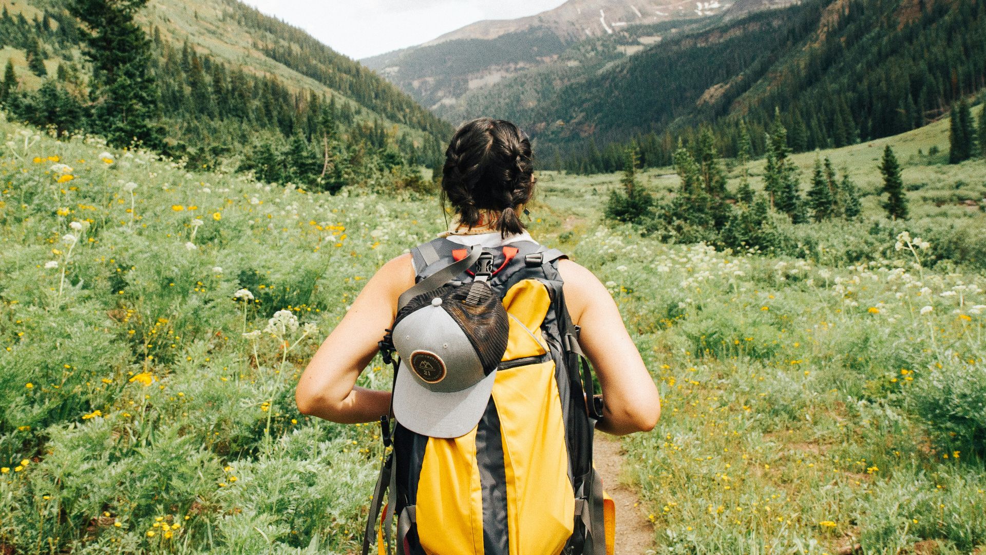 person carrying yellow and black backpack walking between green plants