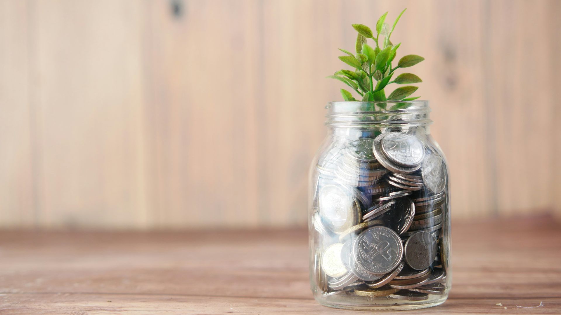 a glass jar filled with coins and a plant
