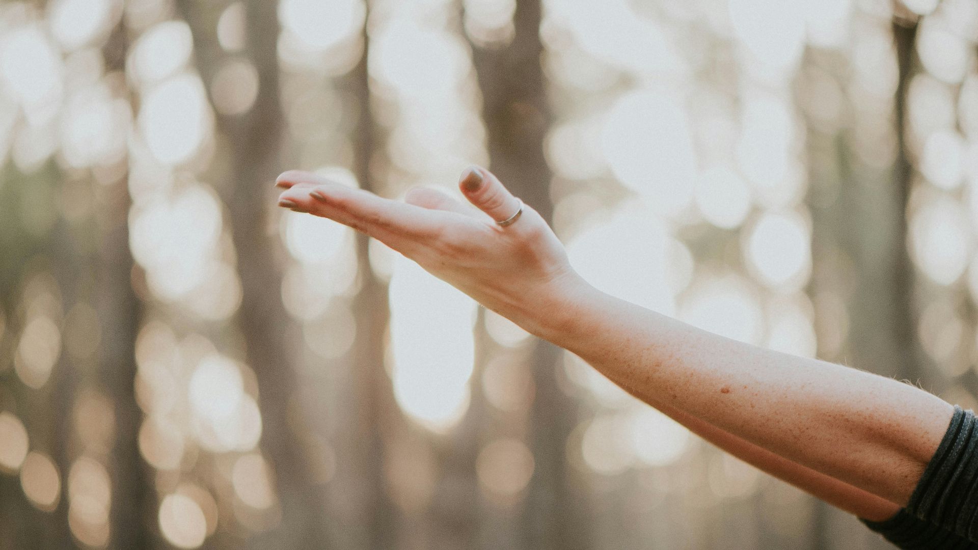 tilt shift lens photography of person lifting hand