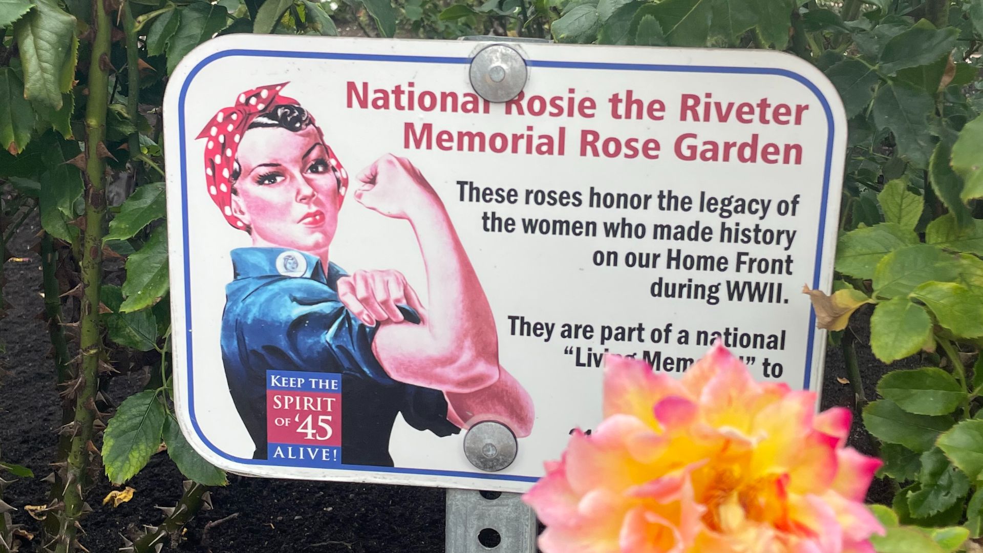 File:Rosie Riveter Memorial.jpg