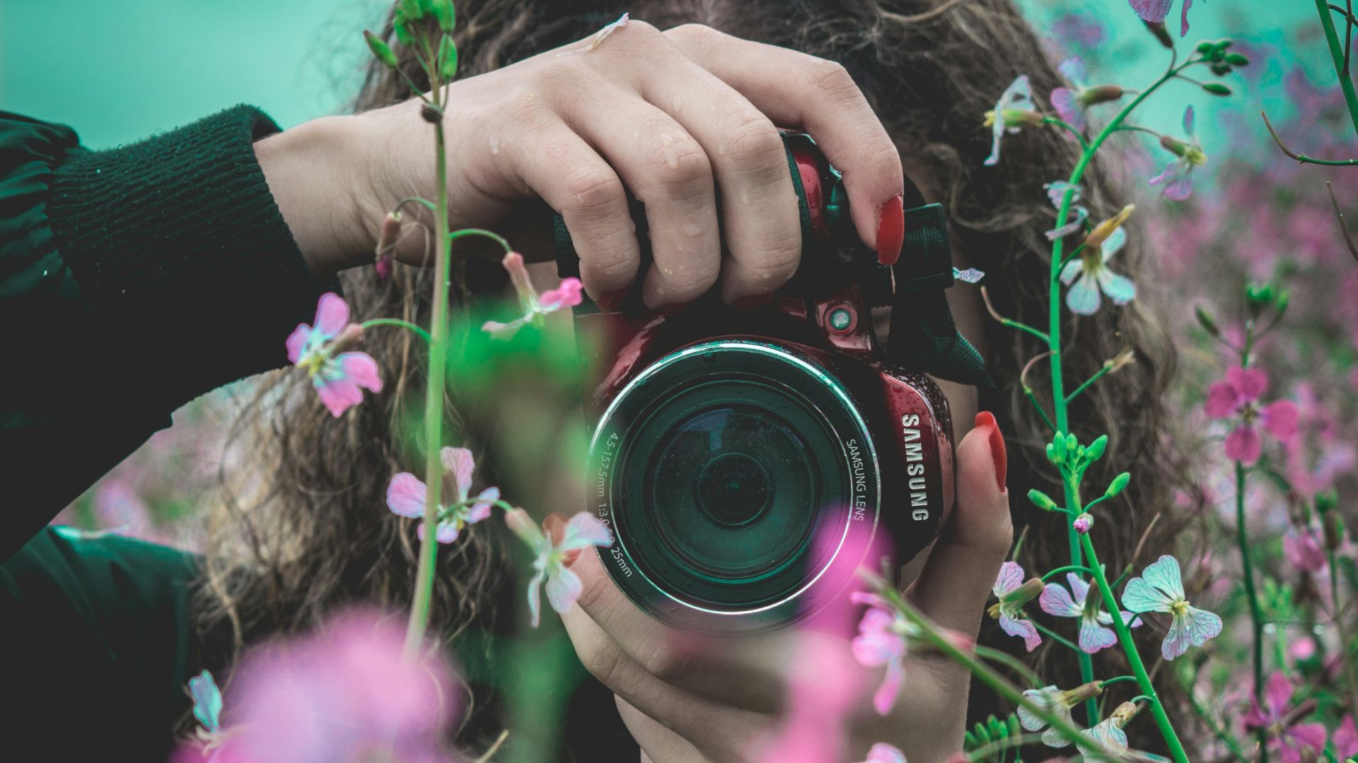 selective focus of woman behind pink flowers holding red Samsung bridge camera about to take photo of flower