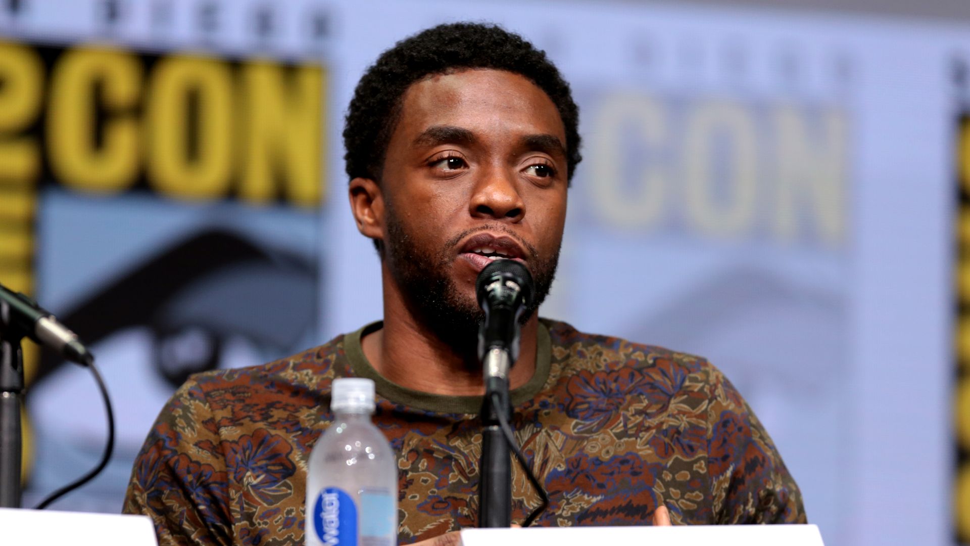 File:Chadwick Boseman (35852212110).jpg