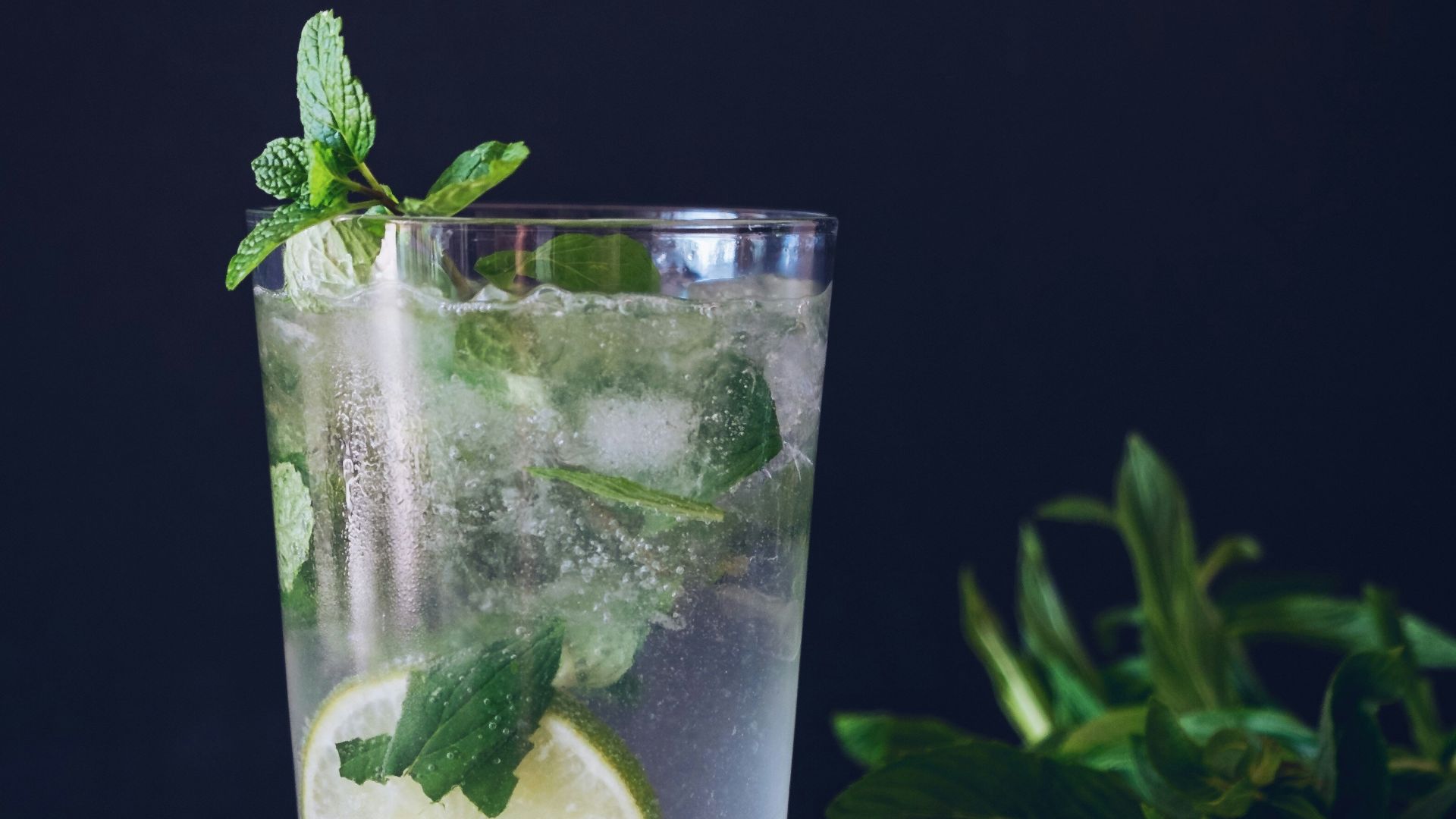 clear glass cup filled with water and lemon