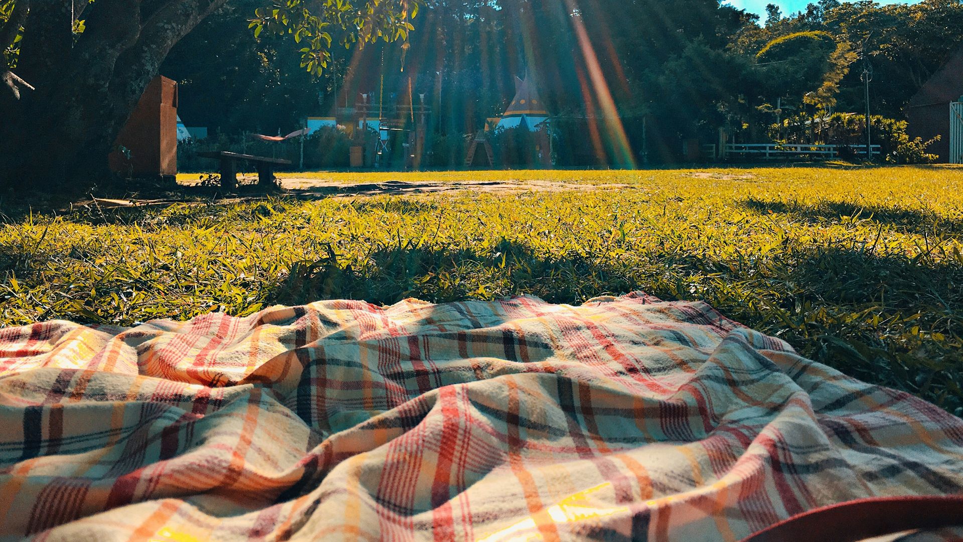 white, orange, and black textile