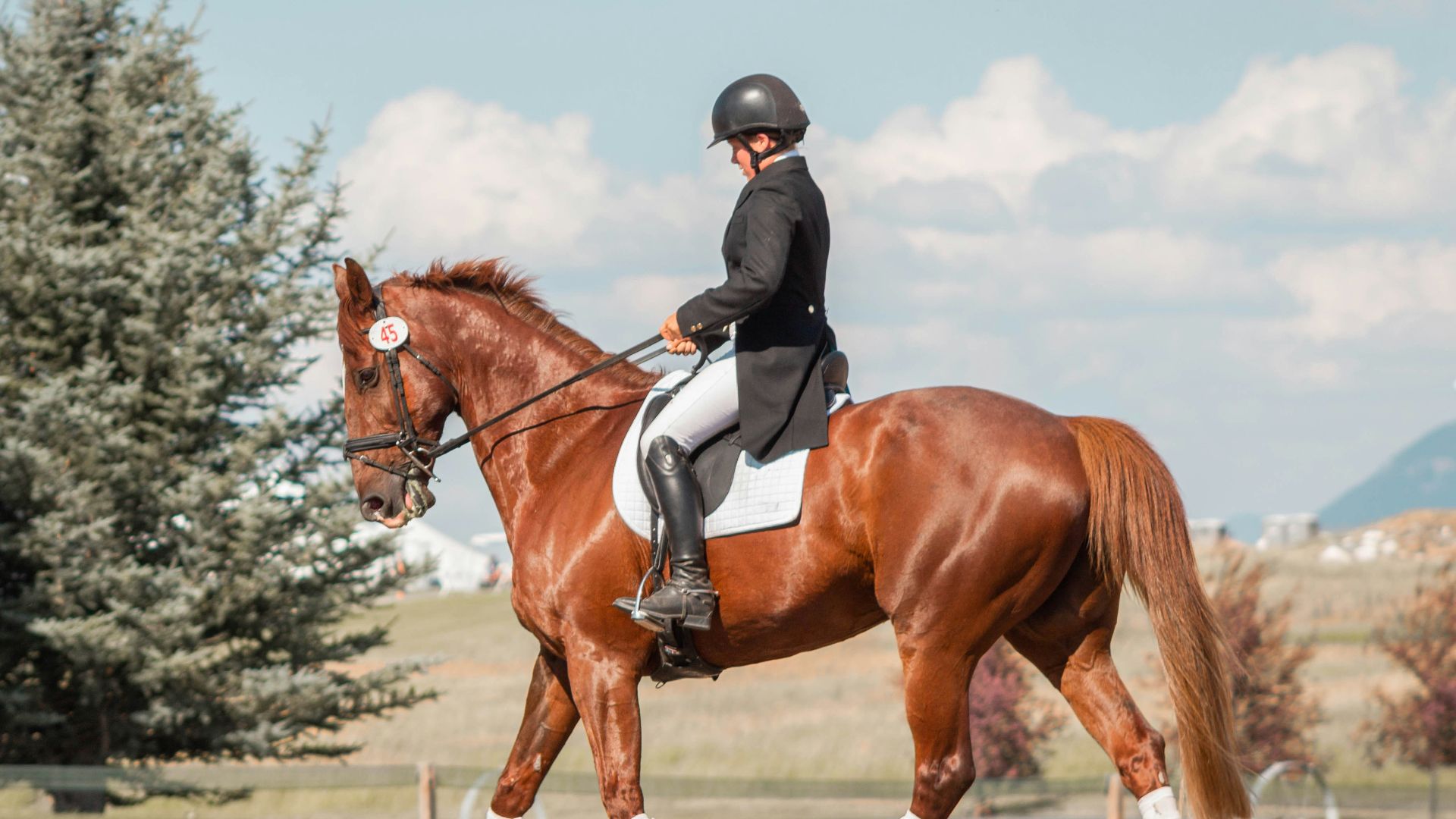 man in black helmet riding brown horse during daytime