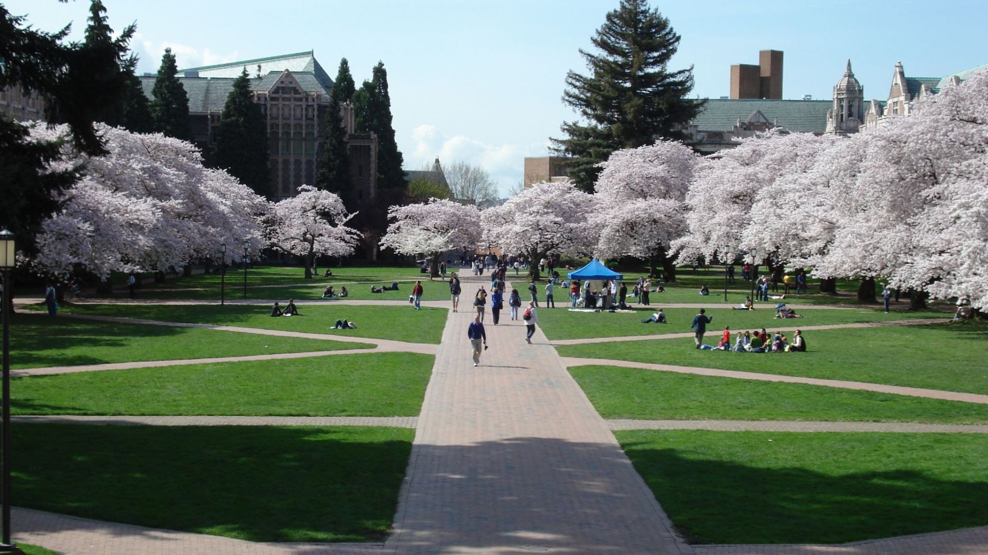 File:UW Quad in the spring 01.jpg
