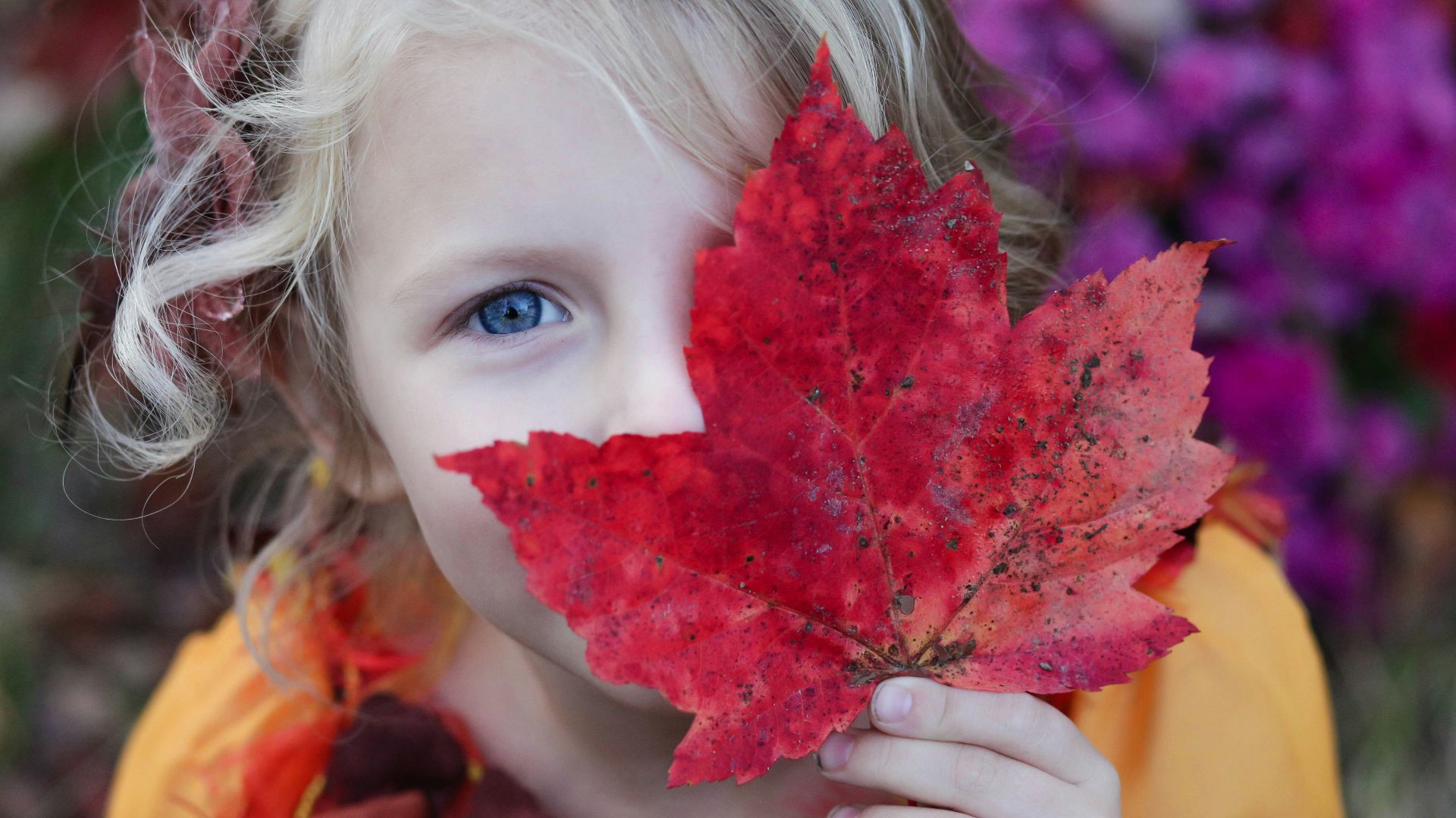 girl holding red maple leaf
