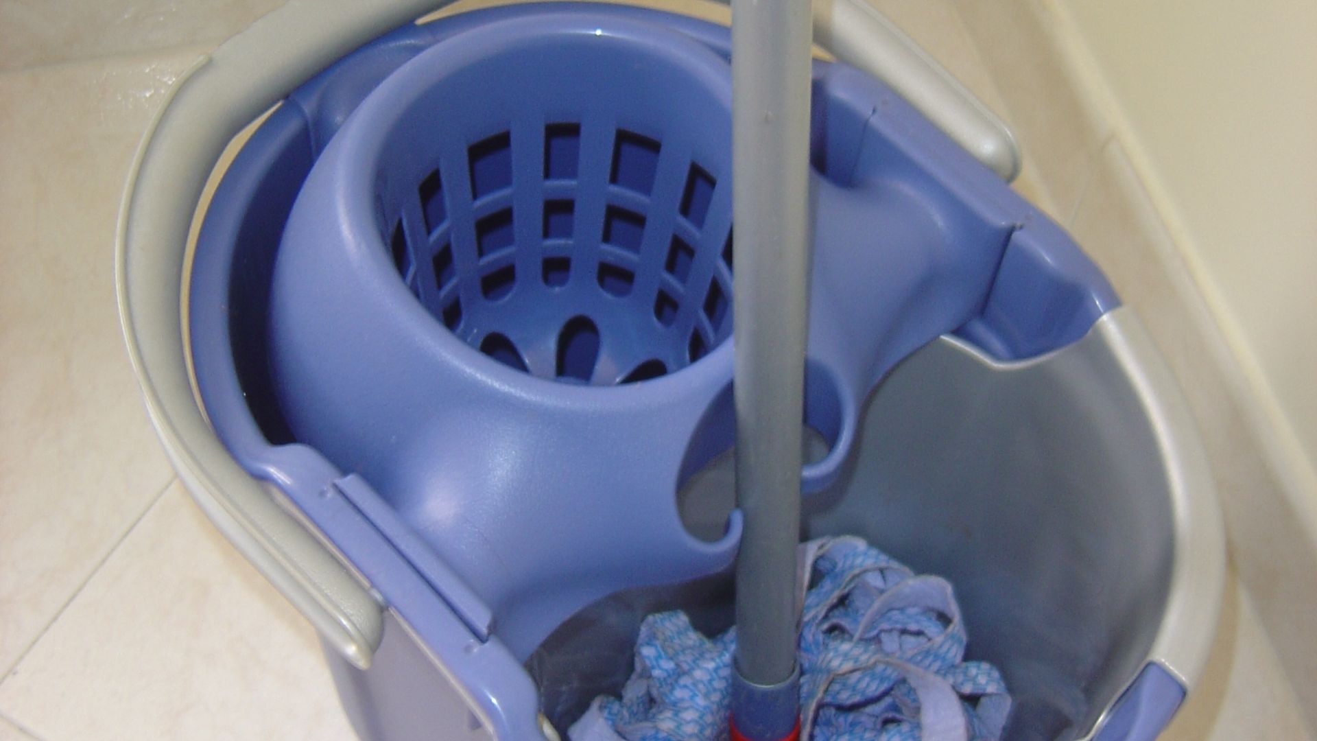 File:Janitor's bucket with mop.jpg