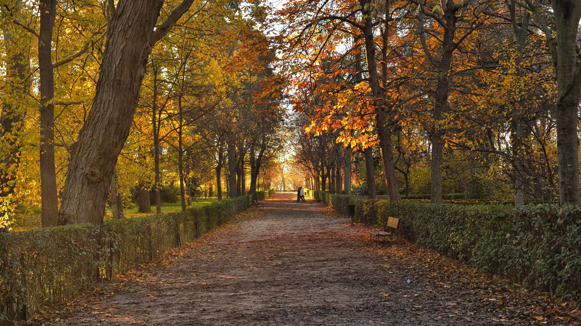 File:Autumn in Retiro Park - Madrid 12.jpg