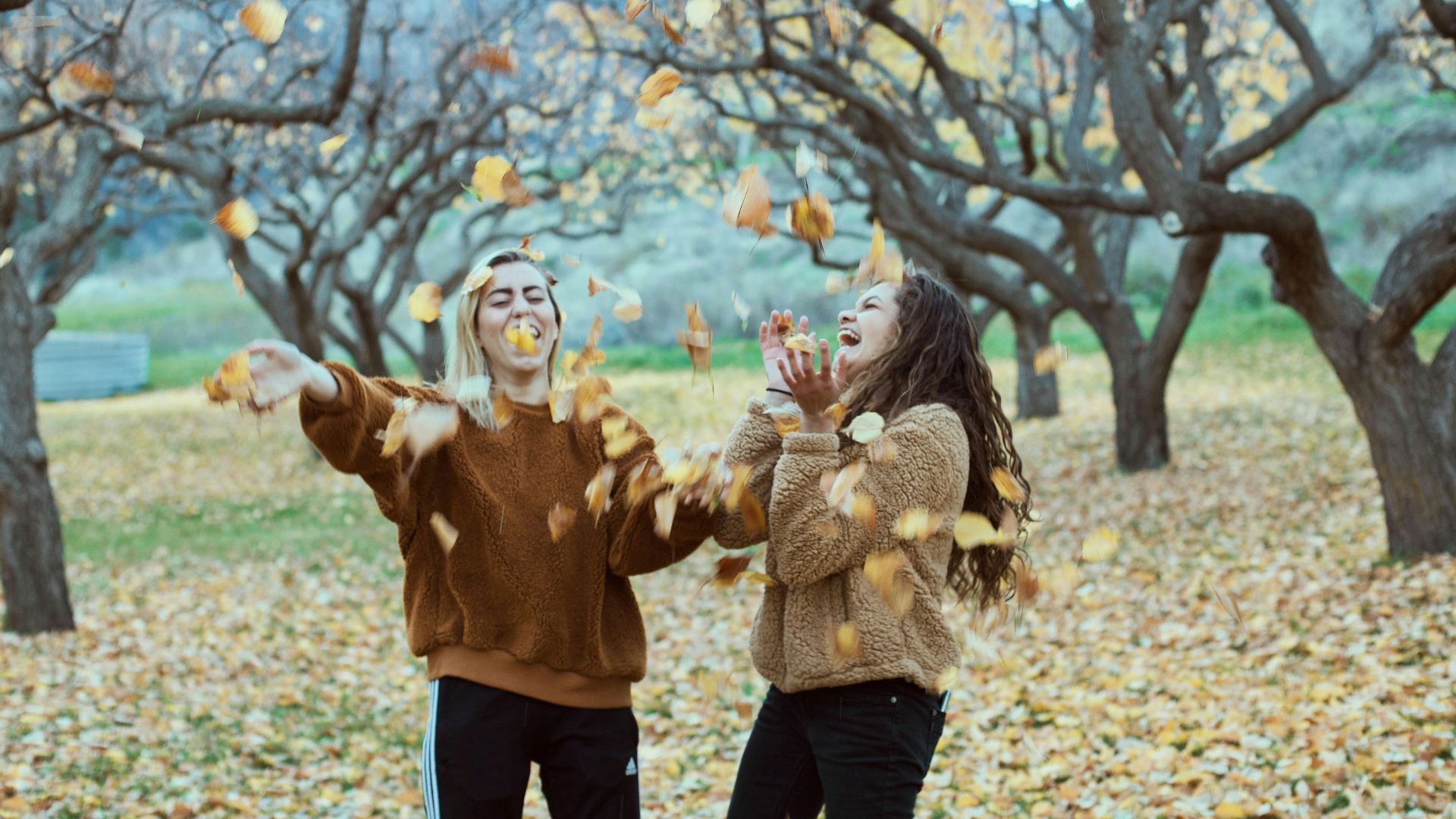 two smiling women in woods