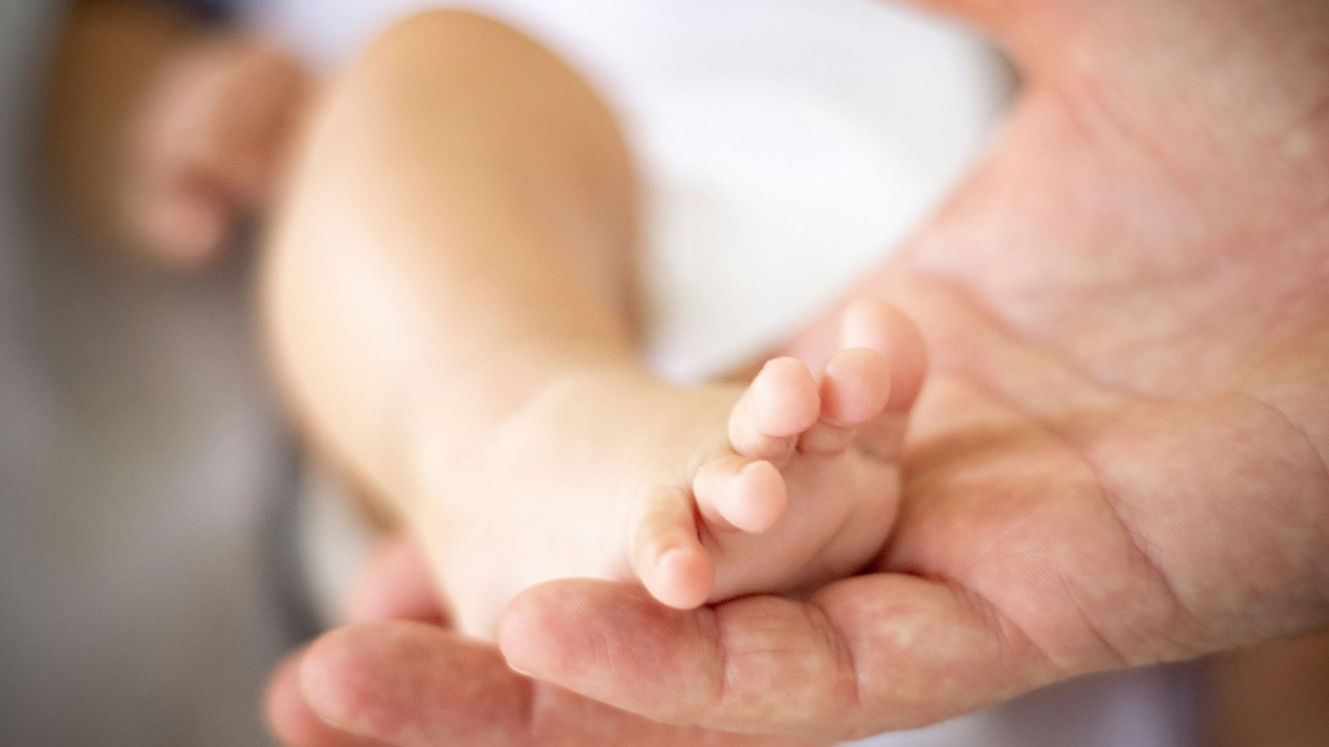 person holding babys feet