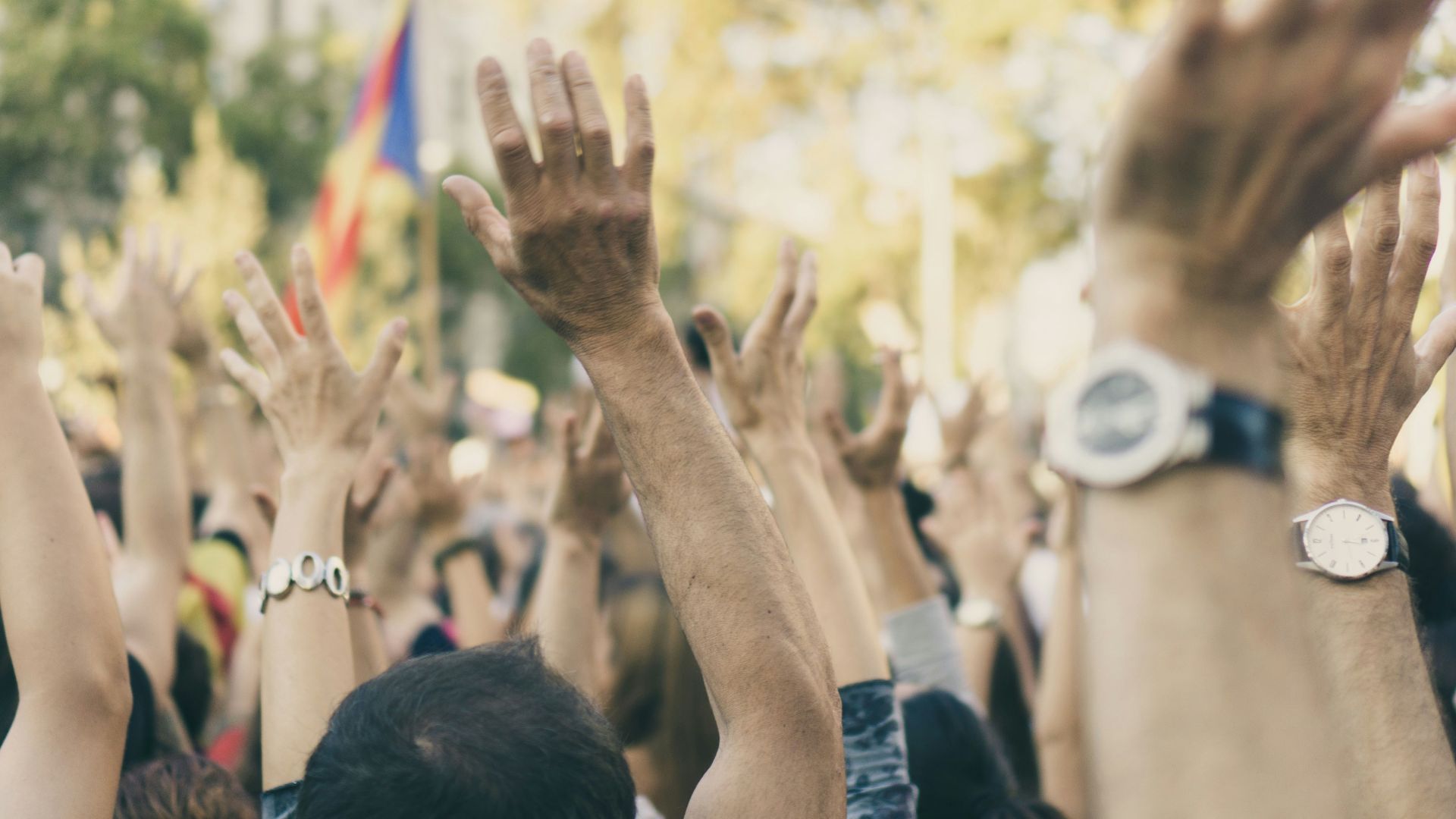group of people raising their hands