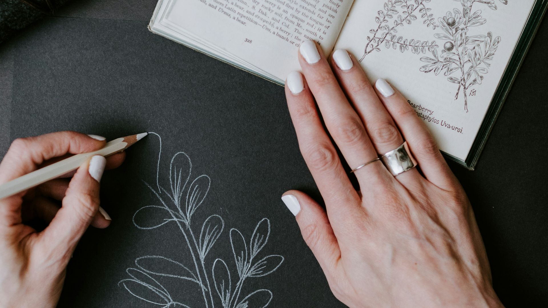person wearing silver ring holding book