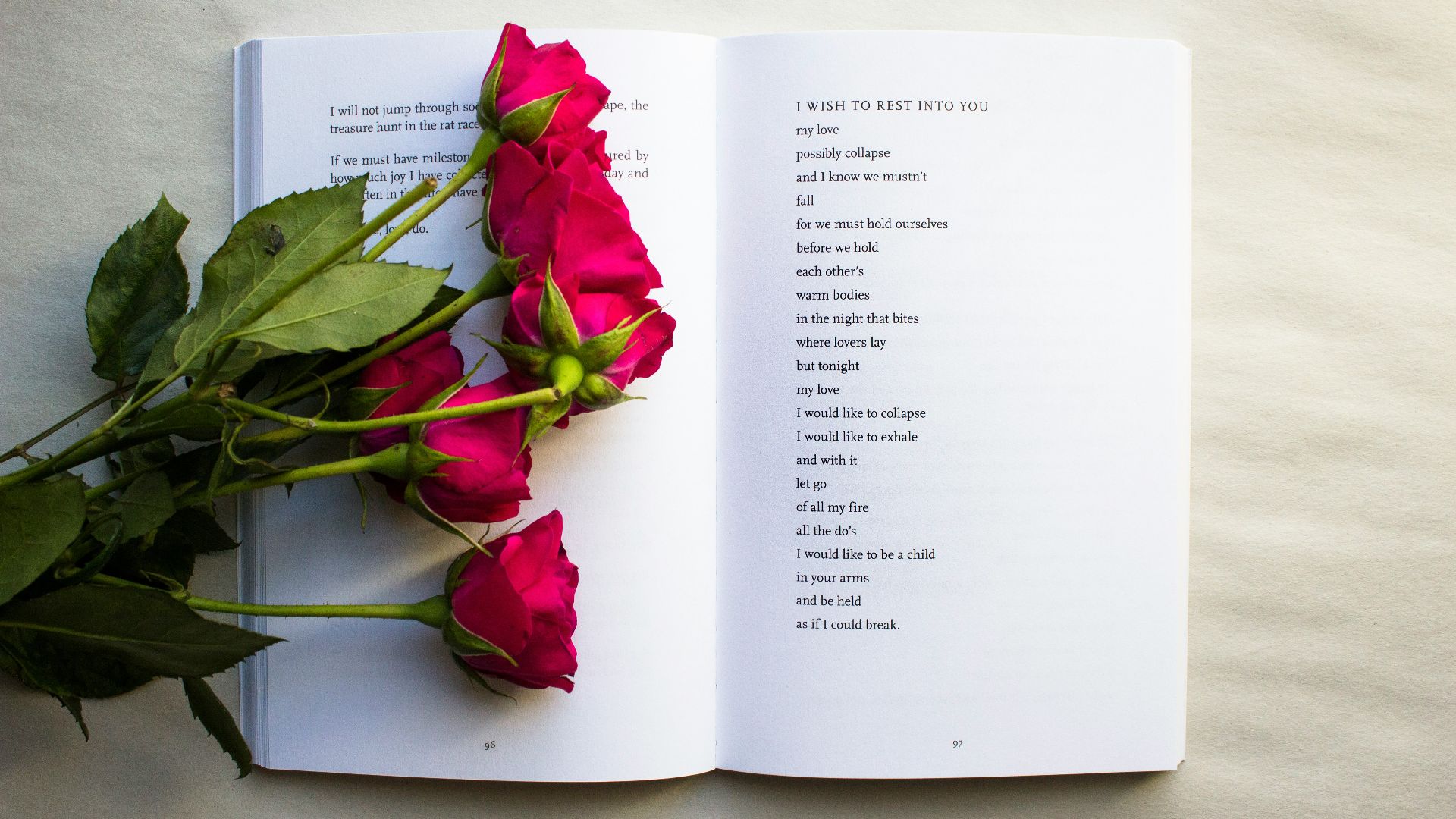 red roses on book