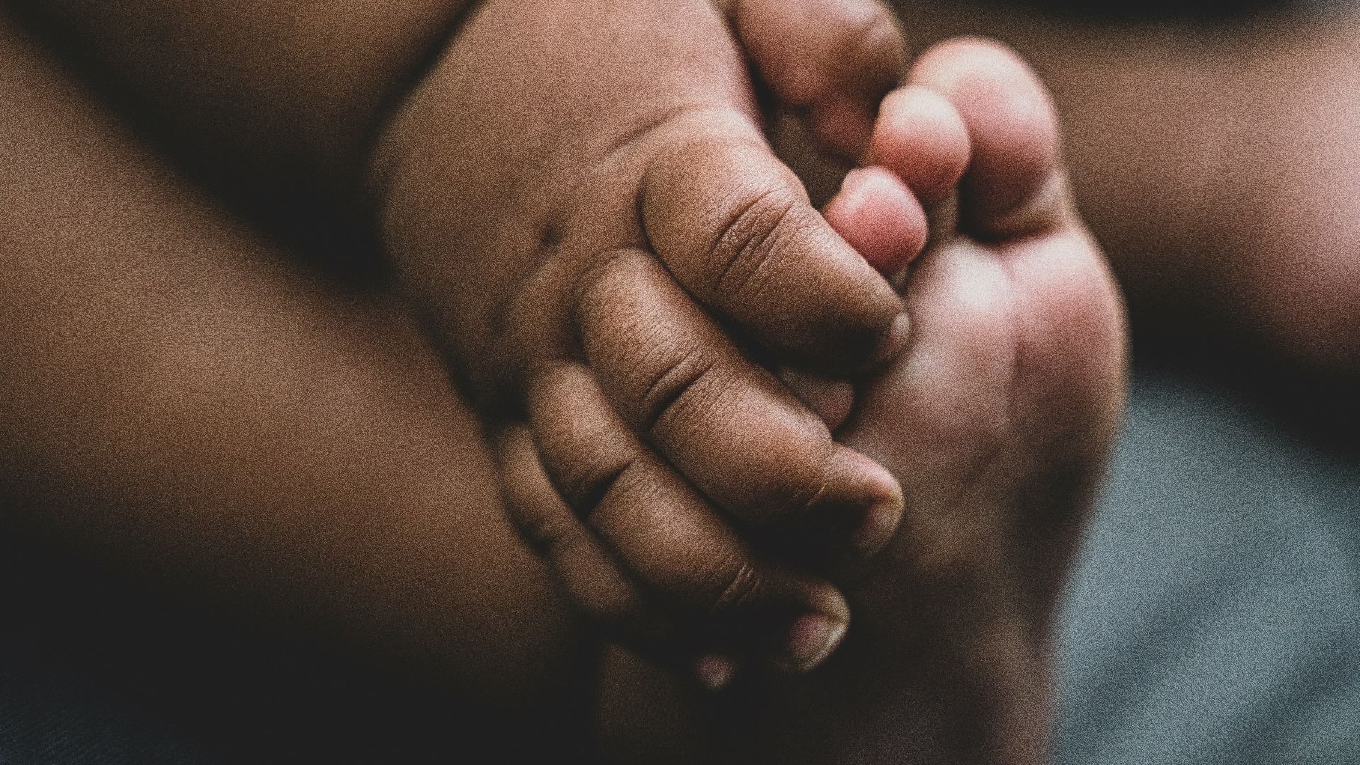 person holding babys feet