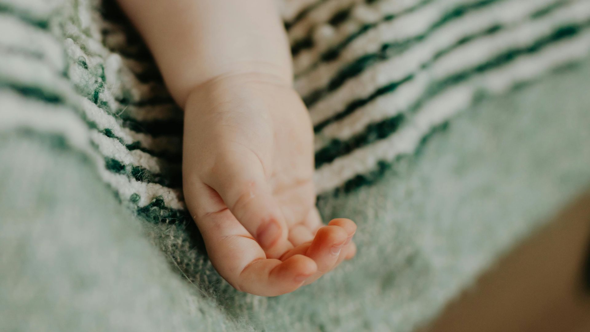 Photo By: Kaboompics.com