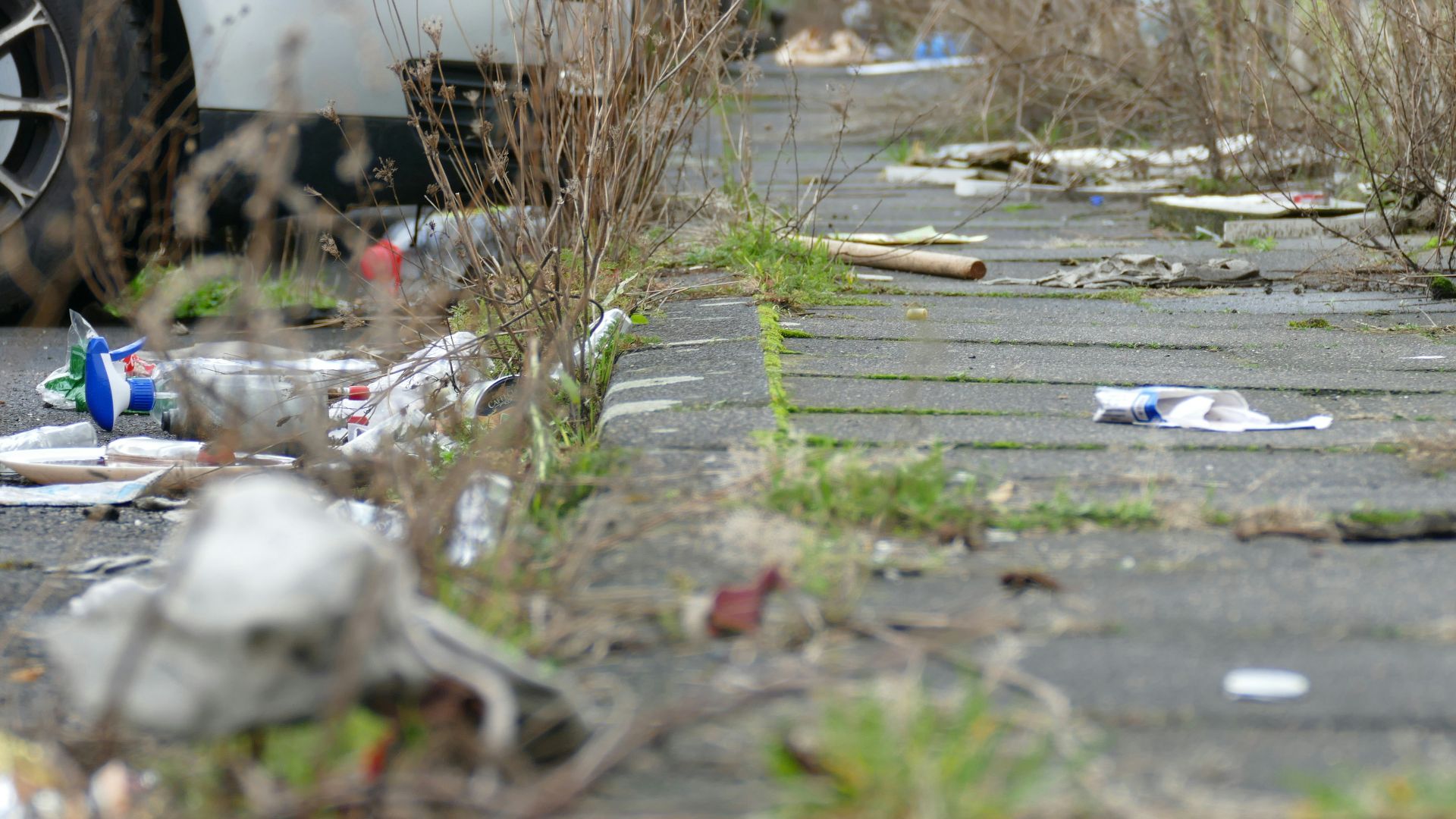 a white car parked on the side of a road