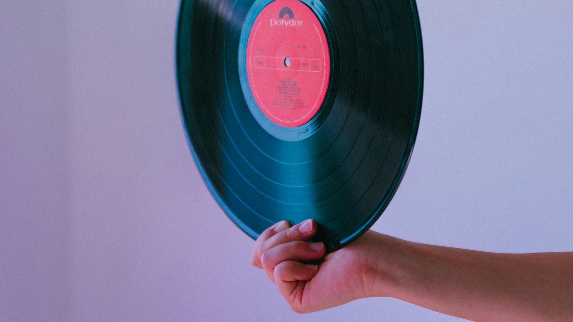 person holding vinyl record