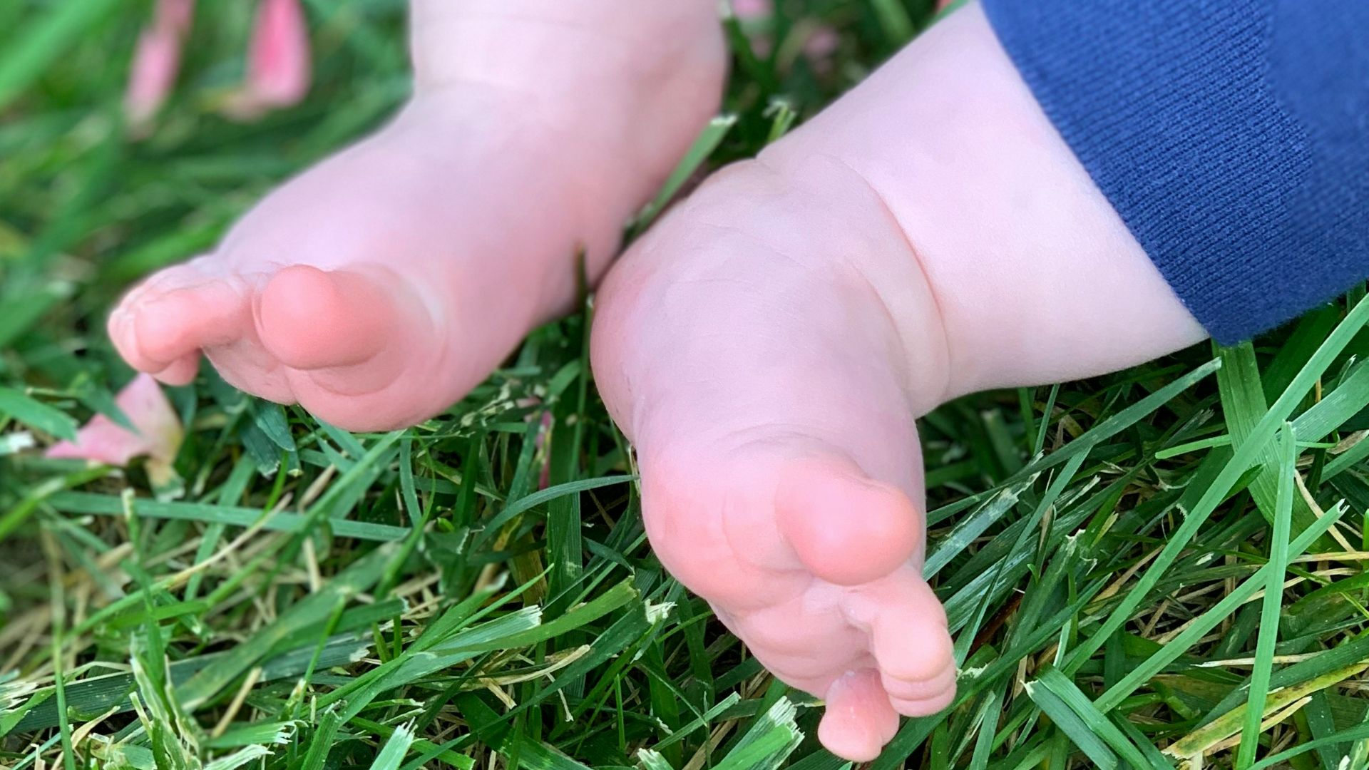 a close up of a child's feet in the grass