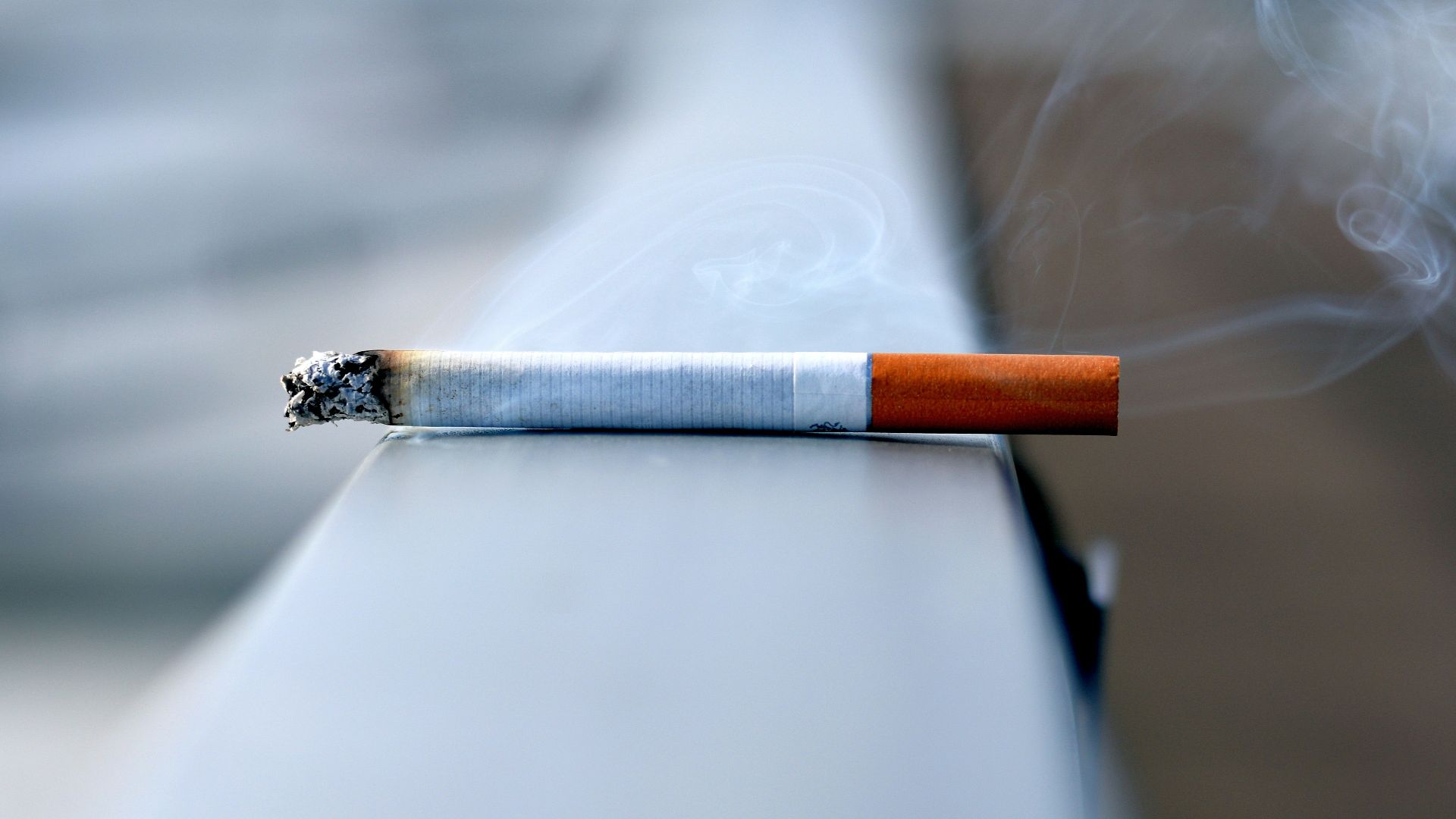 white cigarette stick on white wall