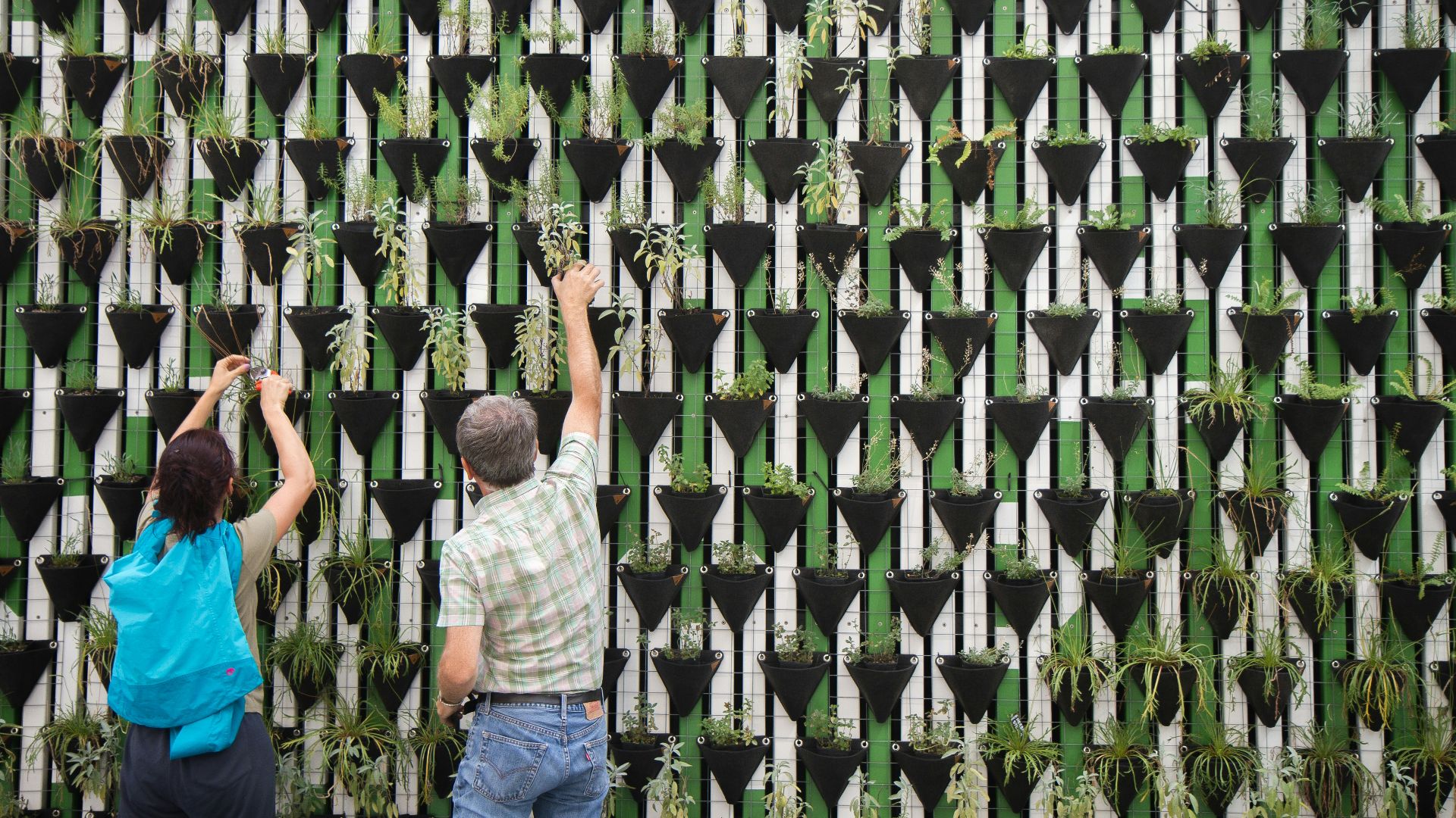 person planting on hanged pots