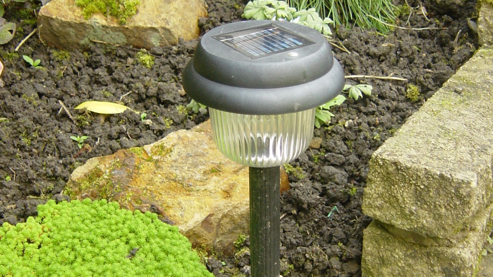 File:Solarlight.JPG
