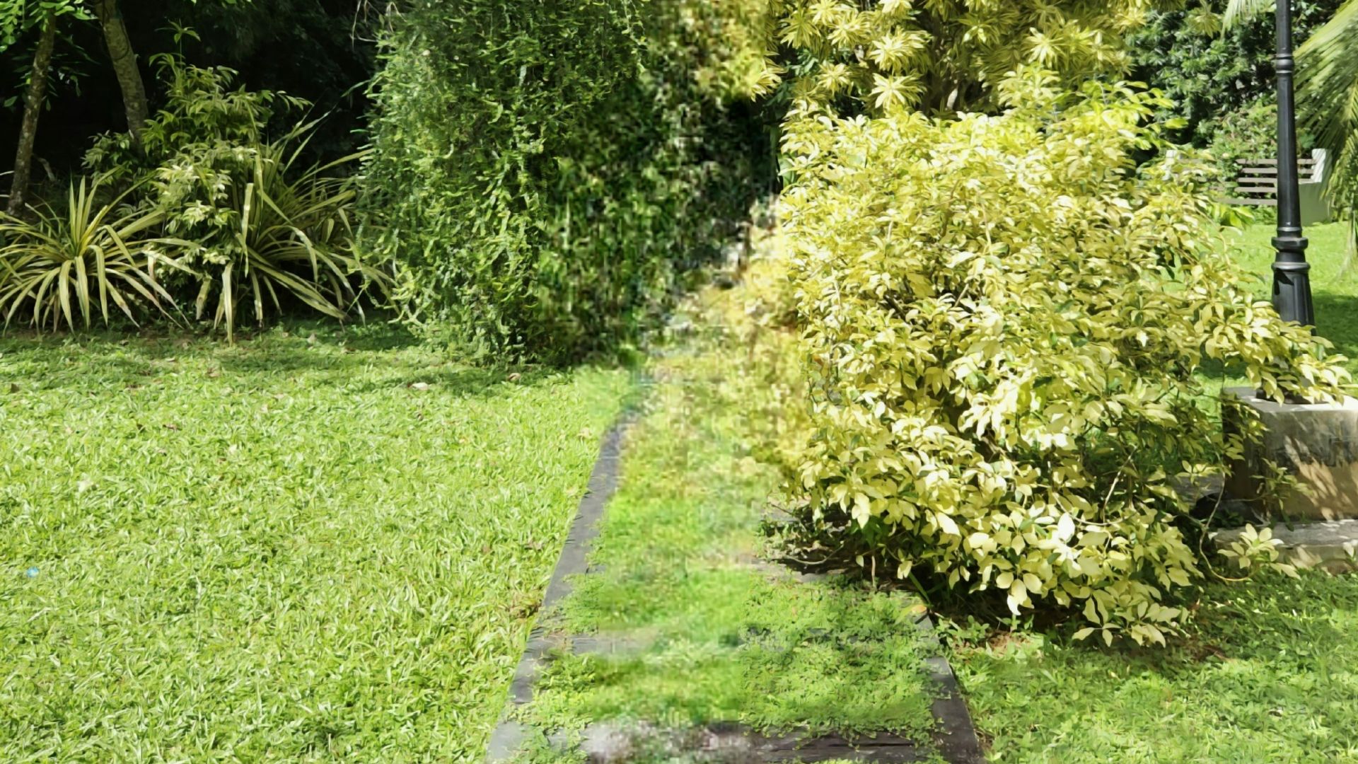 a green lawn with a stone path in the middle of it