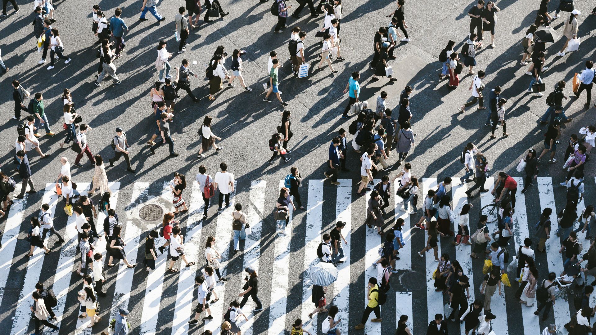 aerial view of people walking on raod