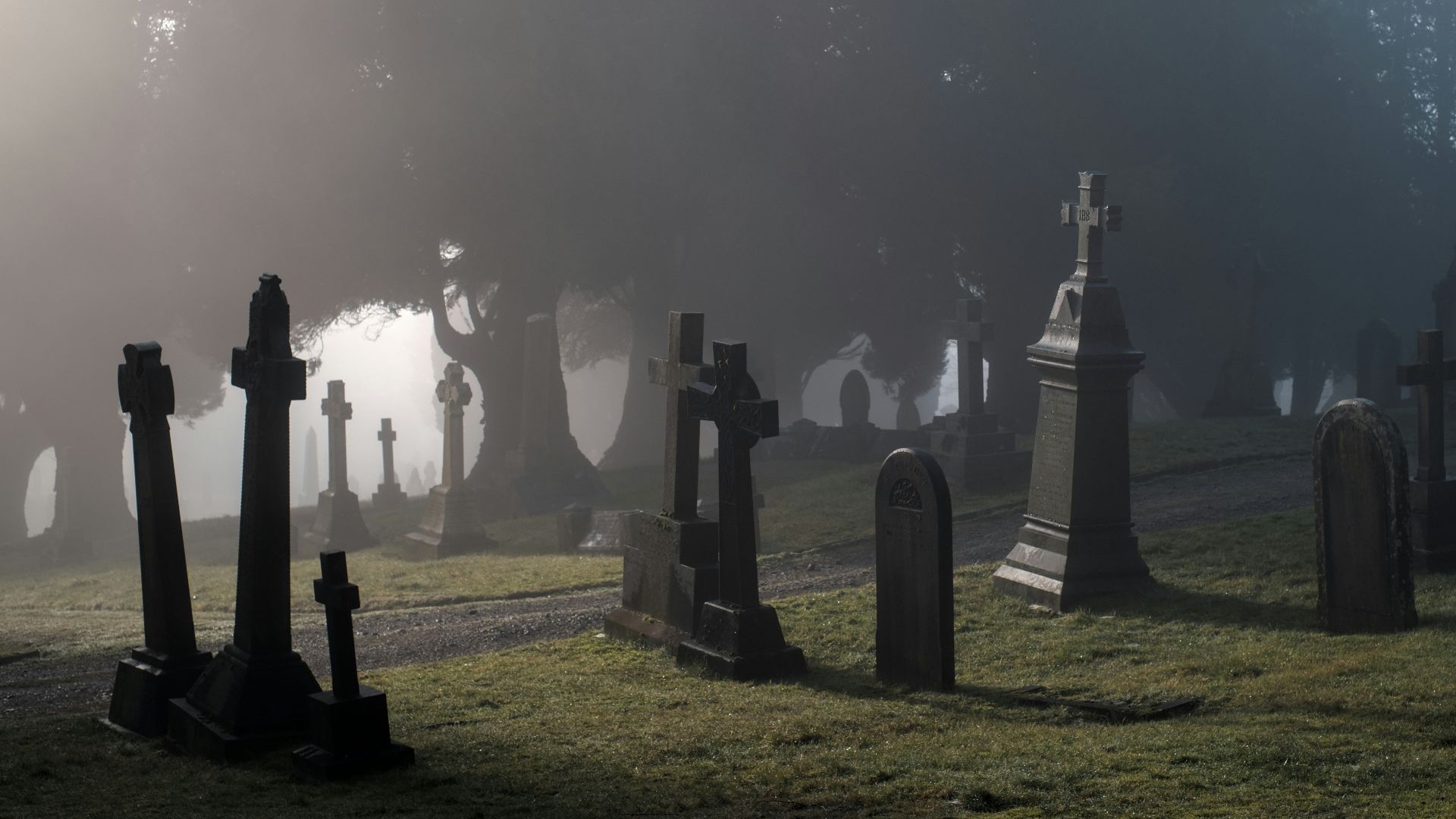 a foggy graveyard with tombstones in the foreground