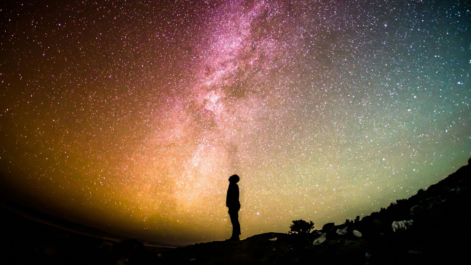 silhouette photography of person