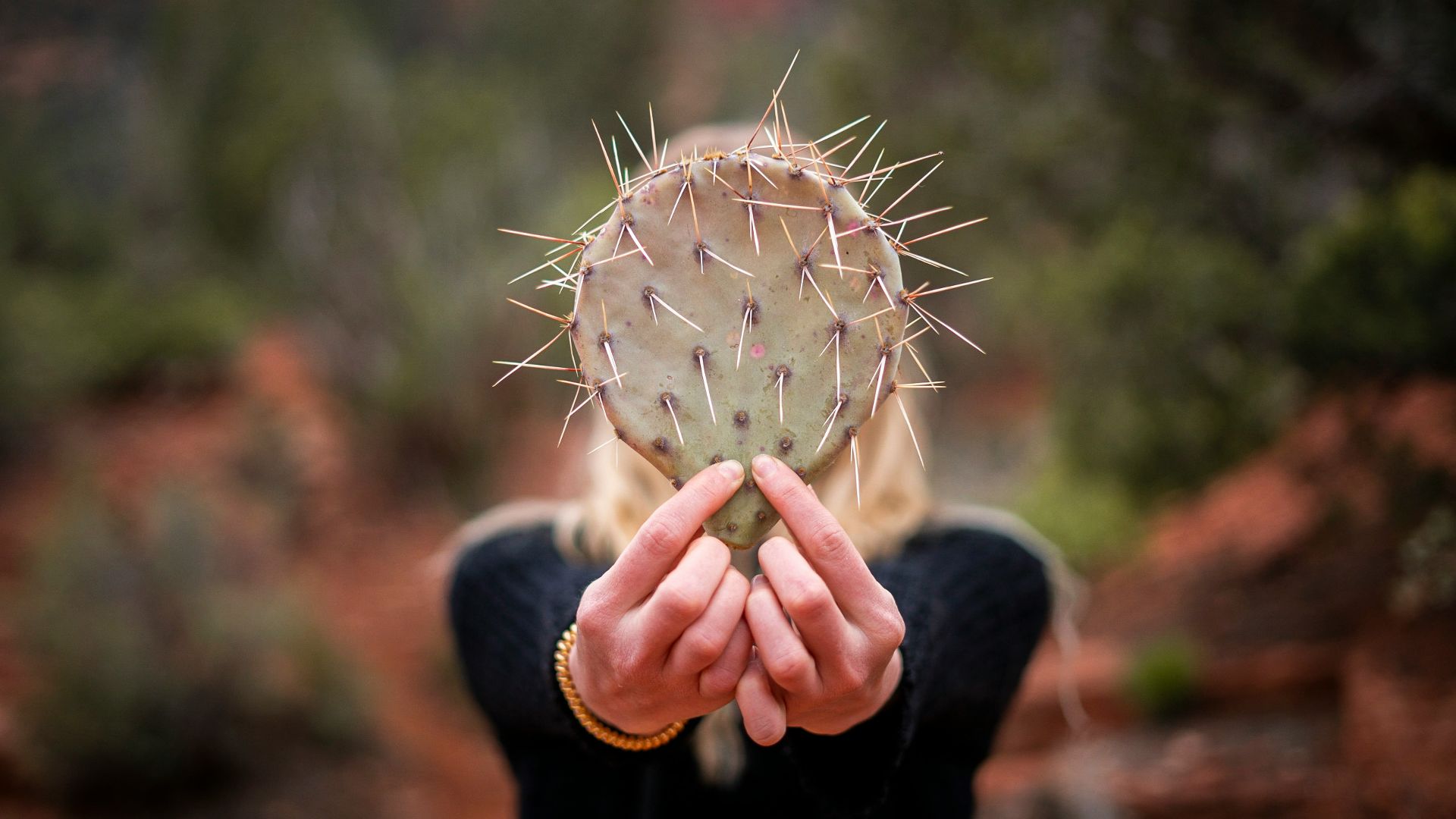 person holding white dandelion flower