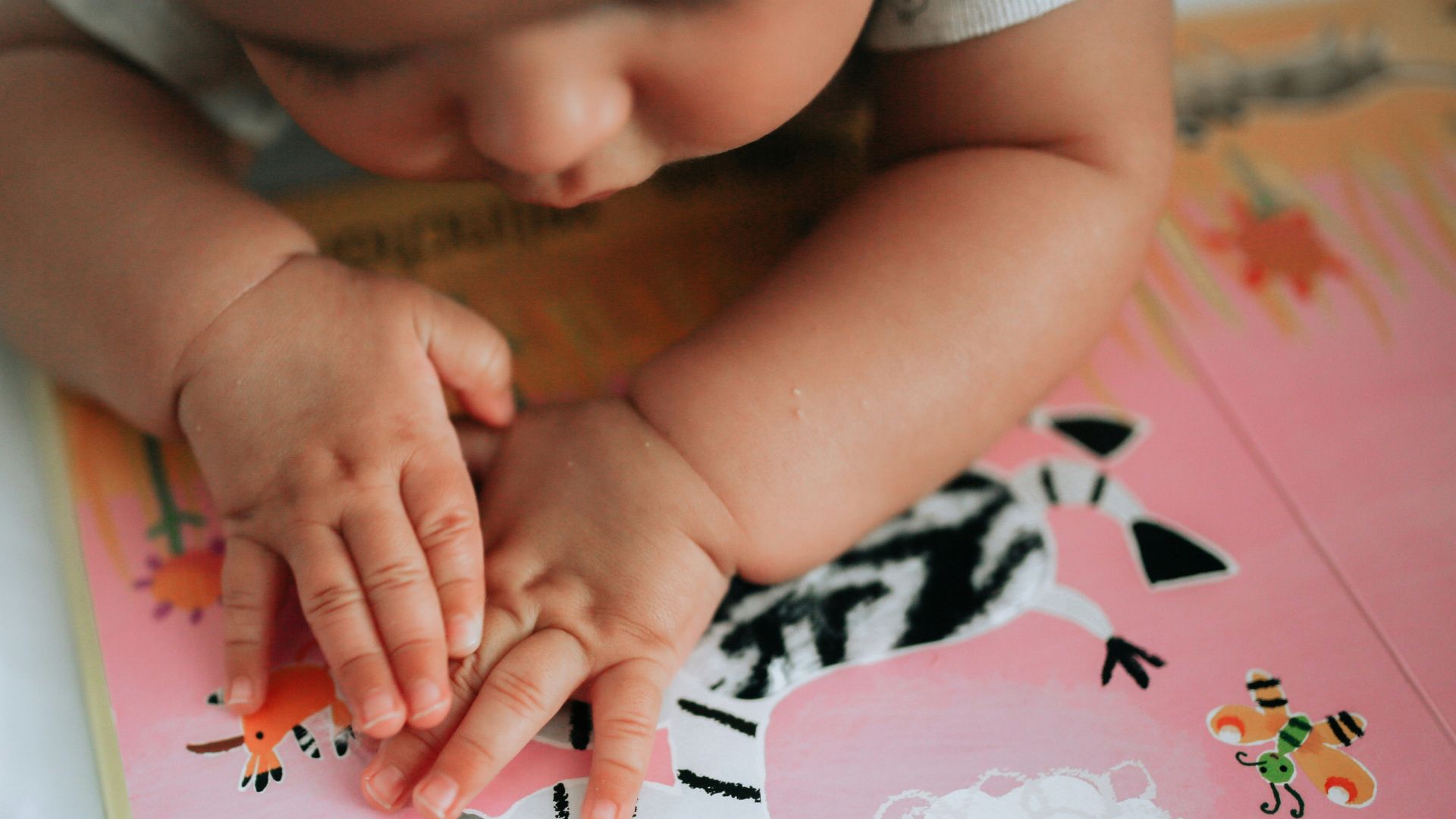 a person holding a book