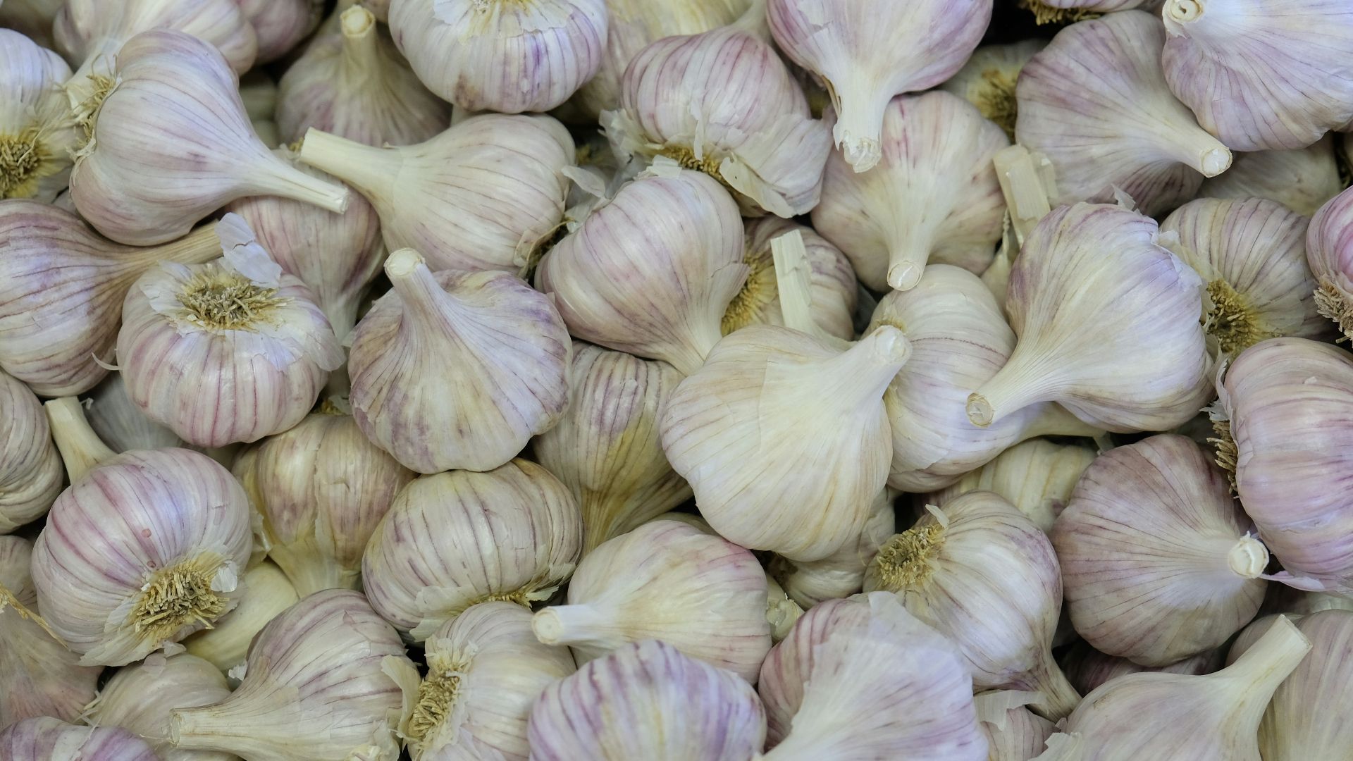 clove of garlic