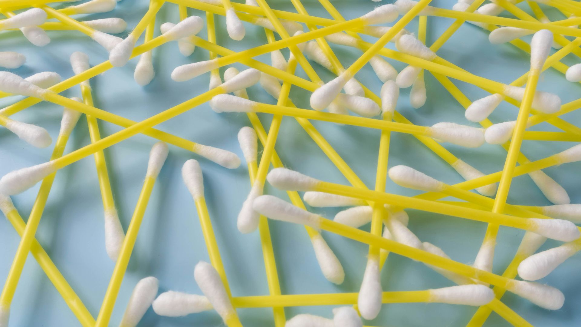 a close up of a plant