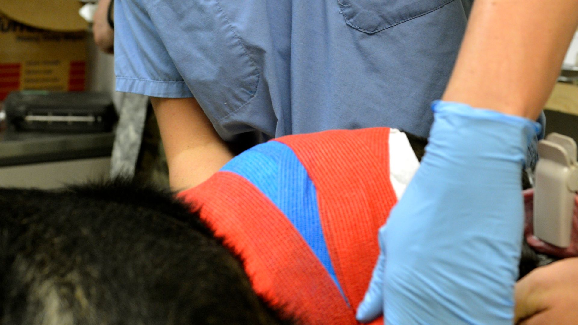 File:Bagram oh-toh-lar-ing-gol-uh-gist experiences dream of helping others 130722-F-IW762-414.jpg