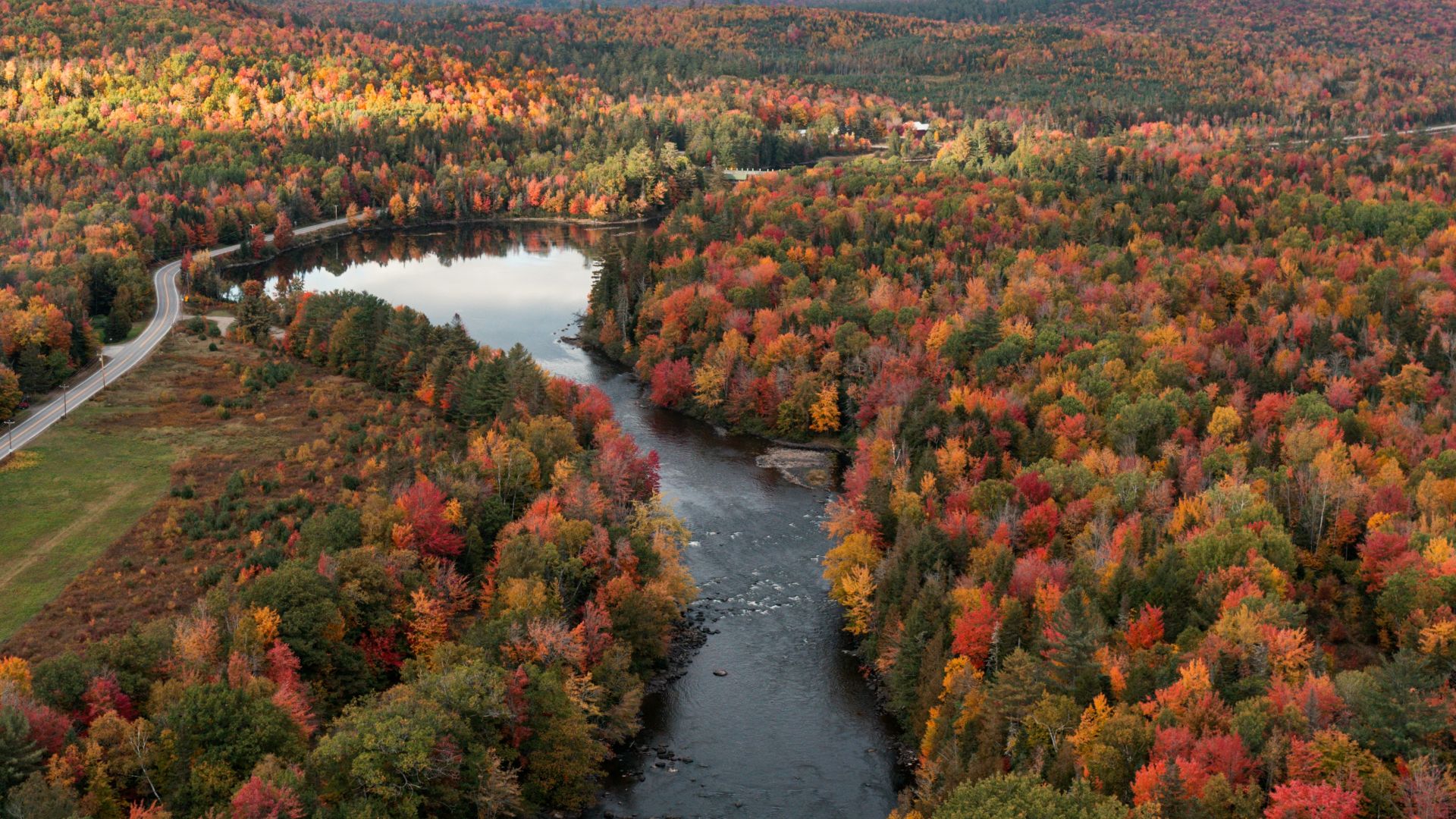A river running through a lush green forest